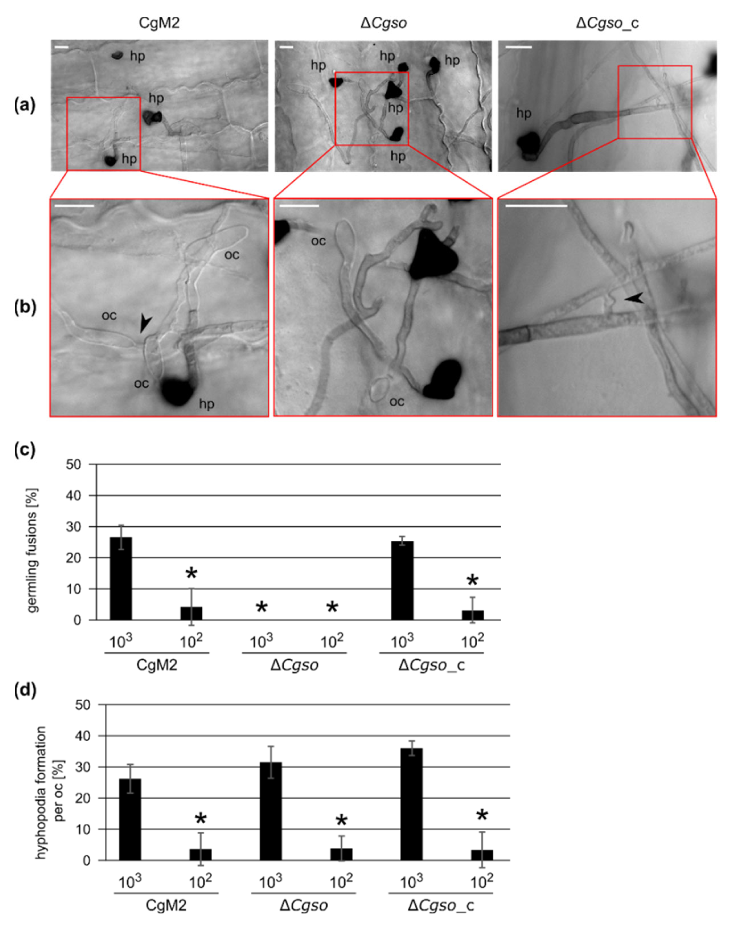 Microorganisms 10 01146 g001