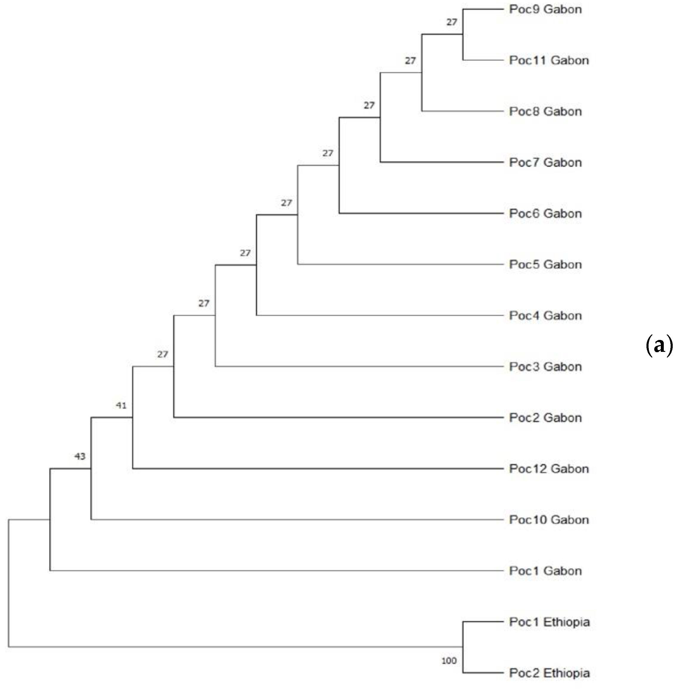Microorganisms 10 01147 g002a Microorganisms 10 01147 g002a