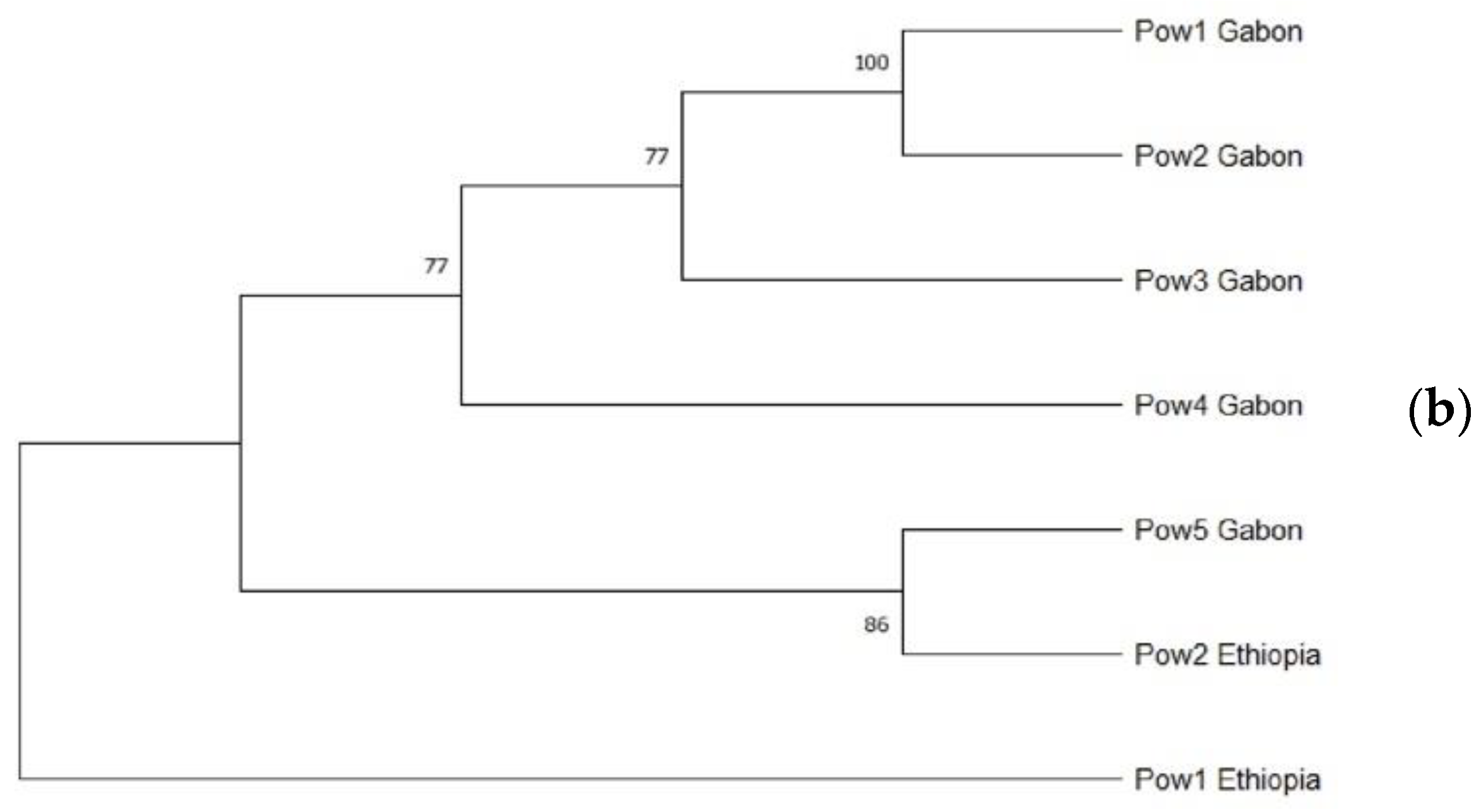 Microorganisms 10 01147 g002b Microorganisms 10 01147 g002b