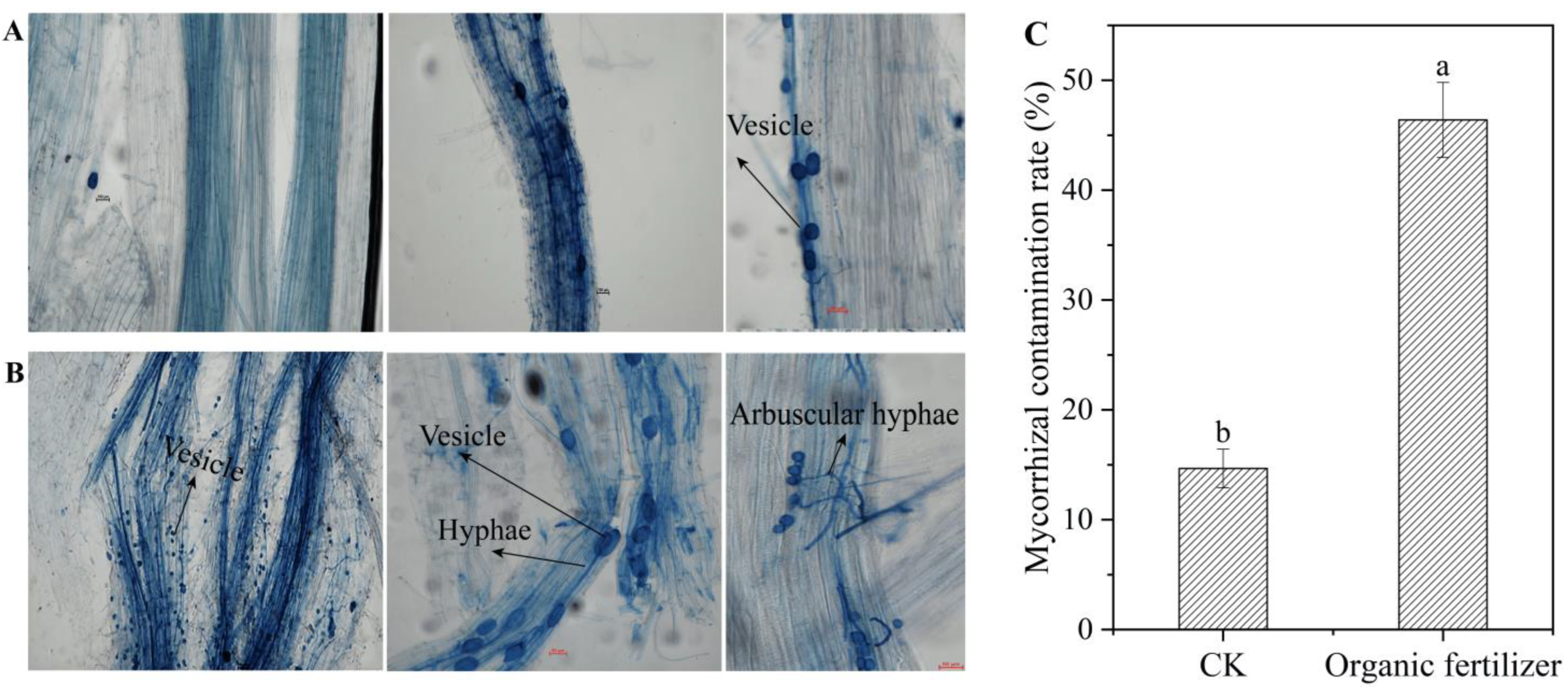 Microorganisms 10 01148 g006