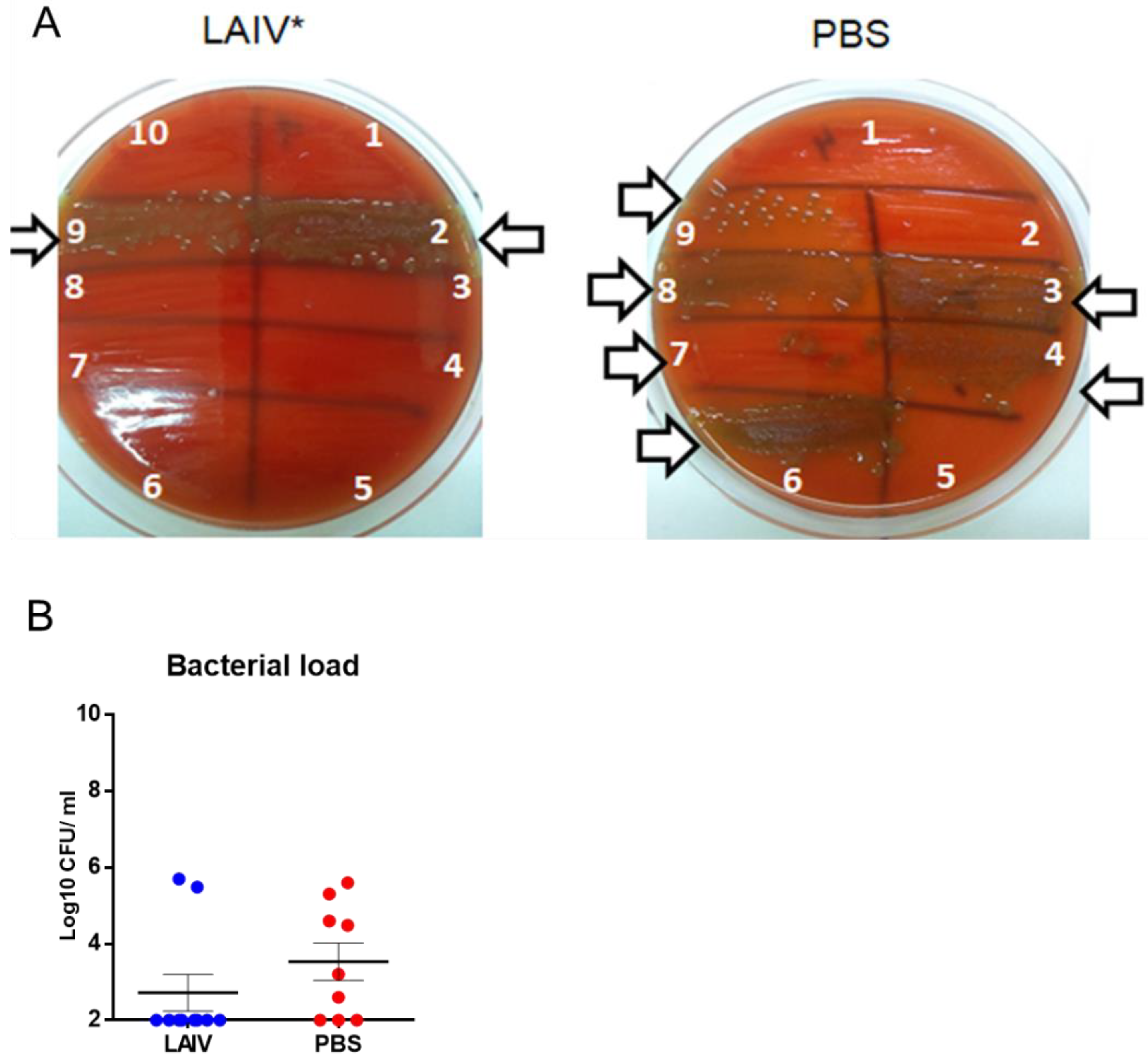 Microorganisms 10 01150 g007 Microorganisms 10 01150 g007