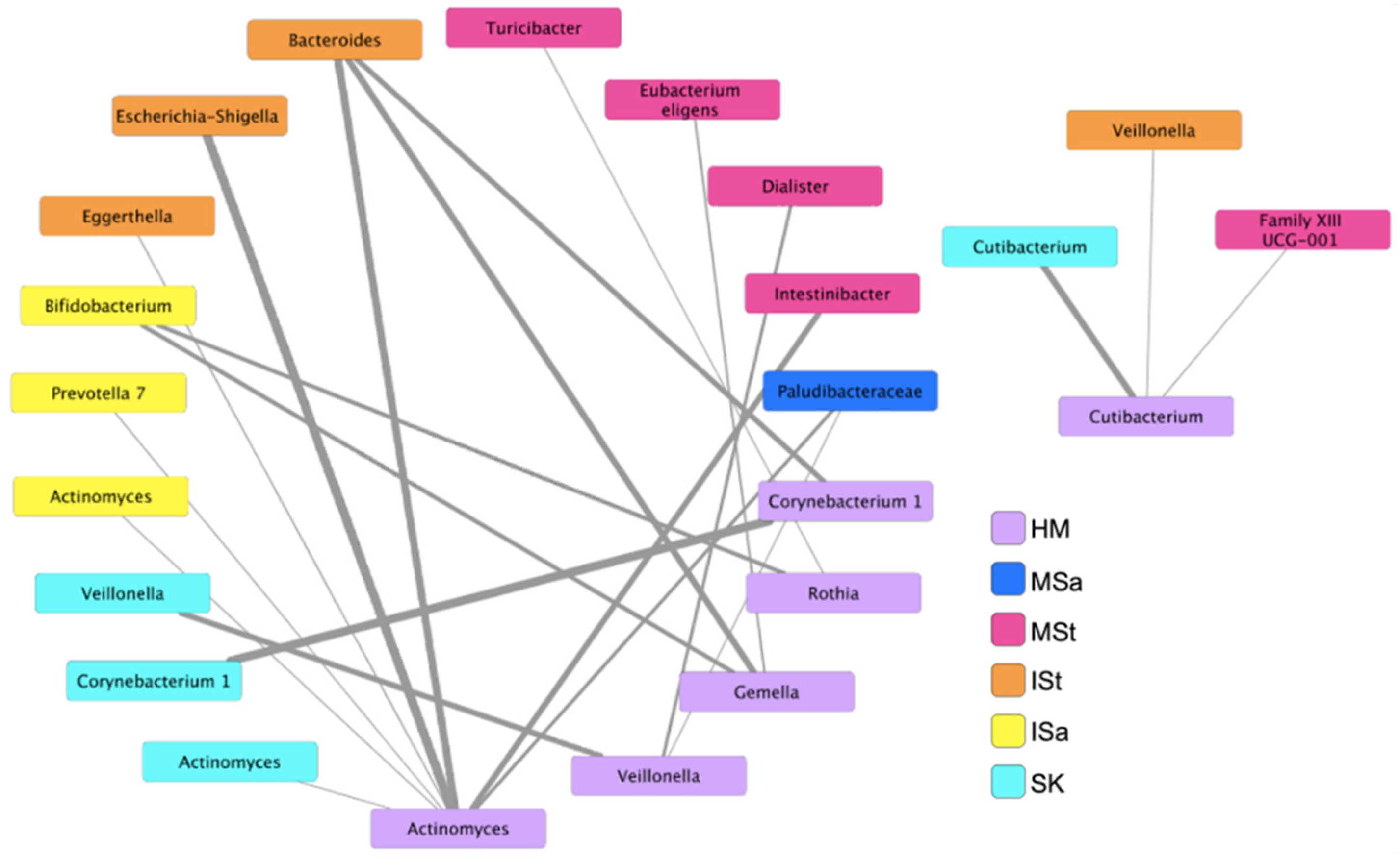 Microorganisms 10 01155 g004 550