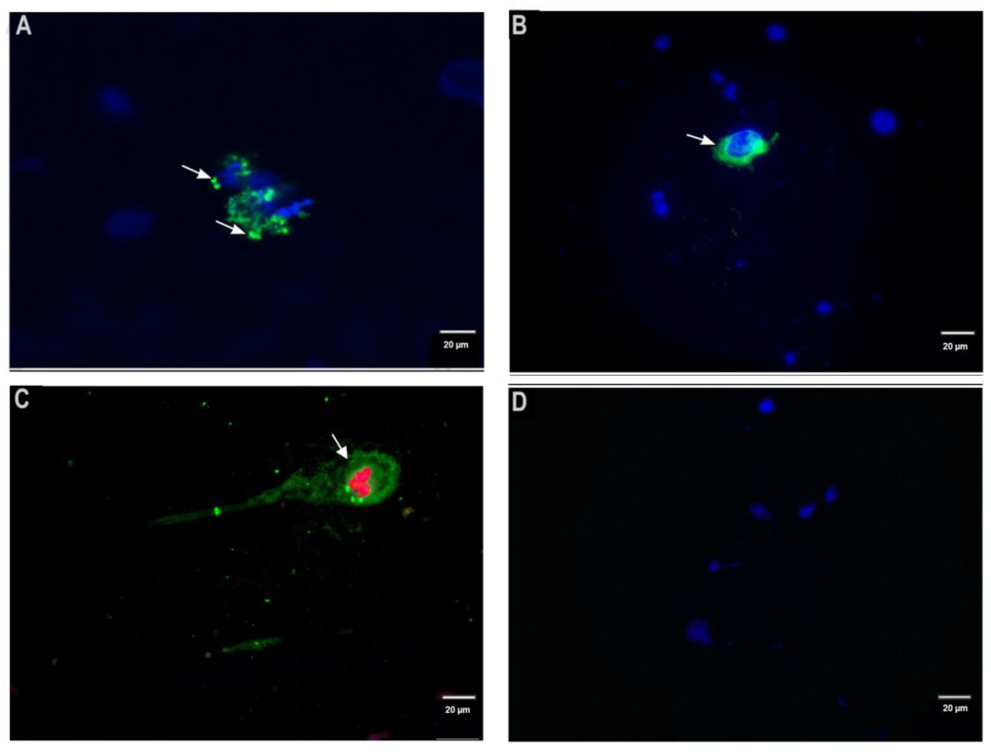Microorganisms 10 01157 g002