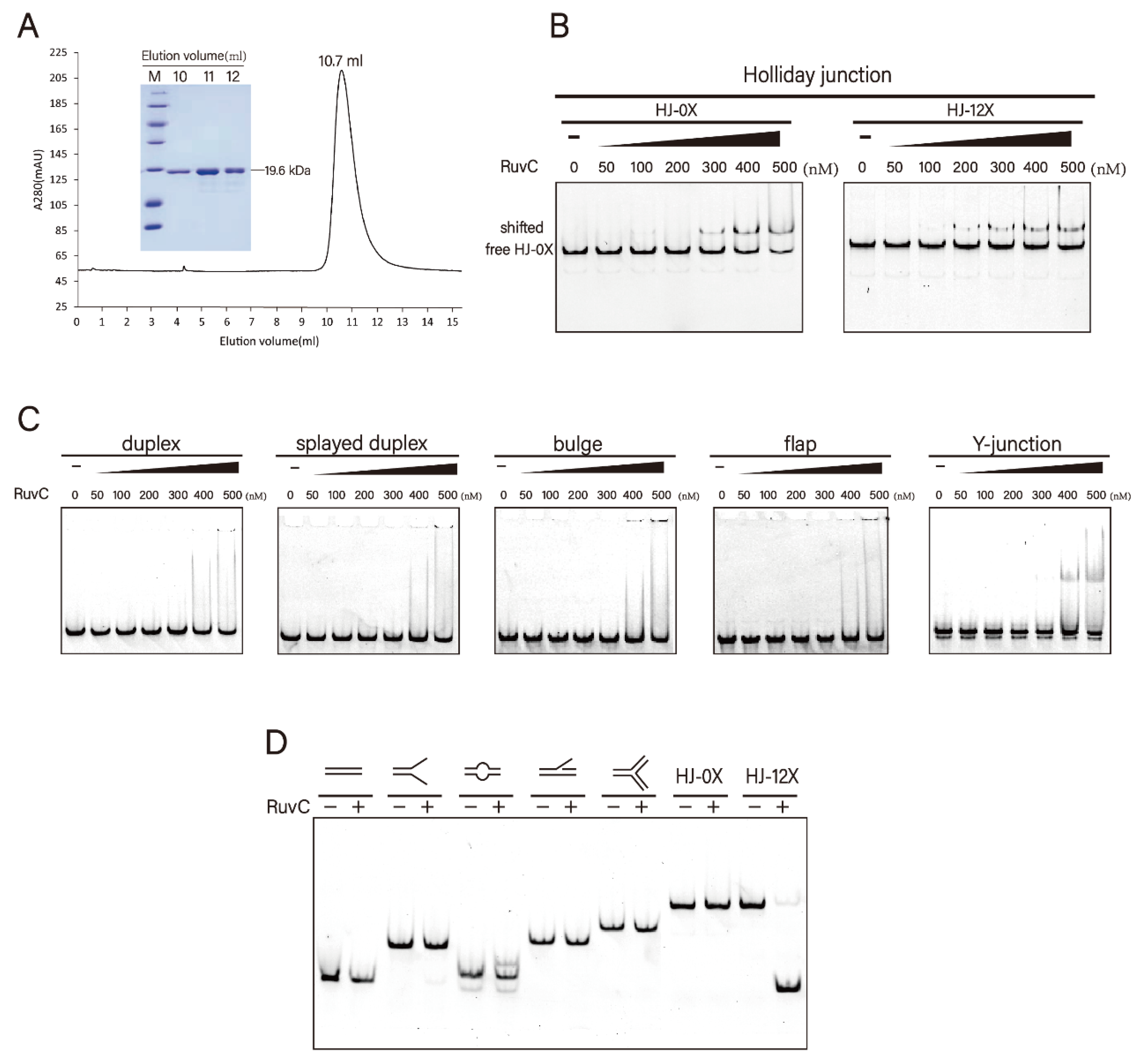 Microorganisms 10 01160 g001 Microorganisms 10 01160 g001
