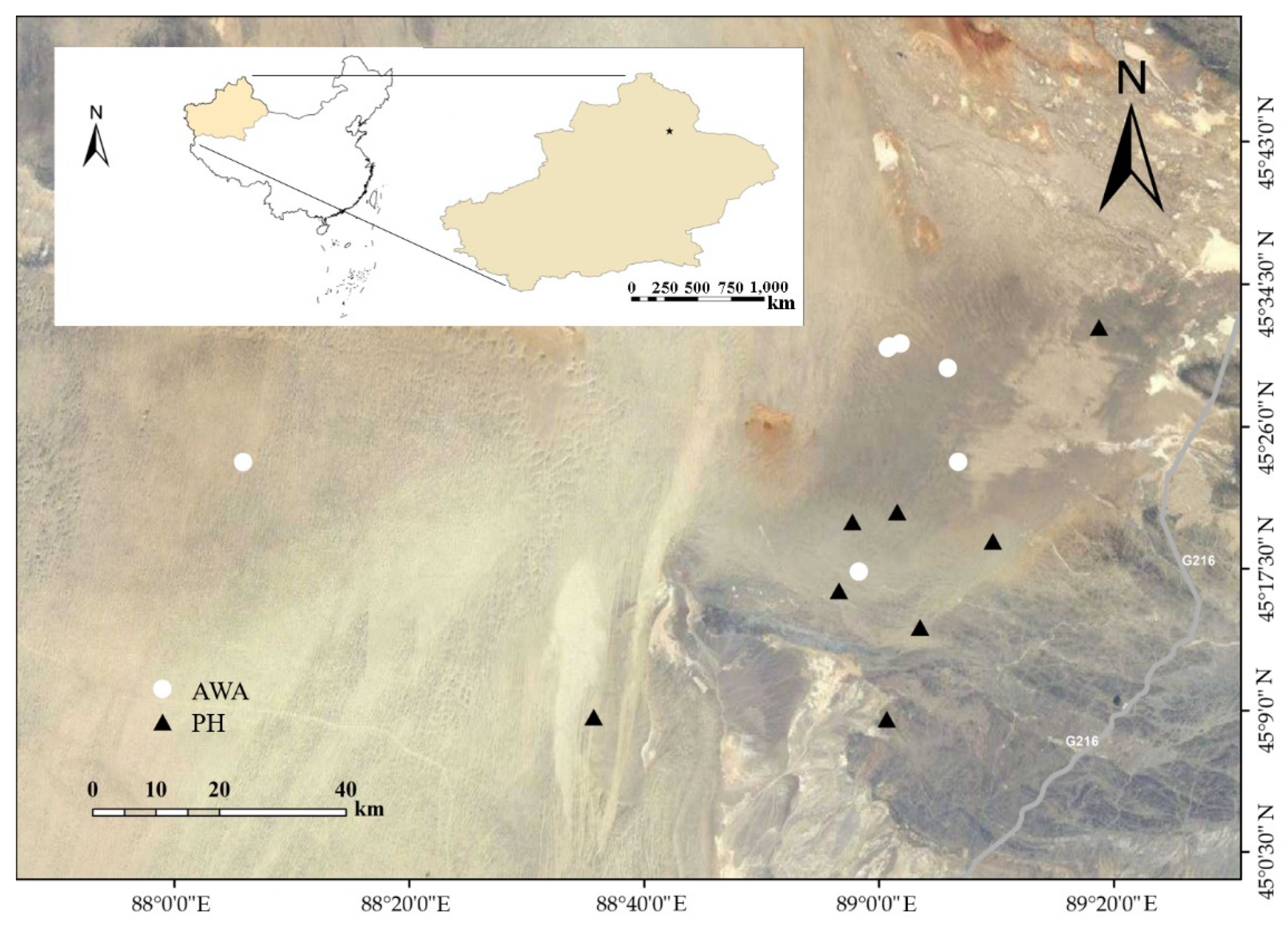 Microorganisms 10 01166 g001 Microorganisms 10 01166 g001