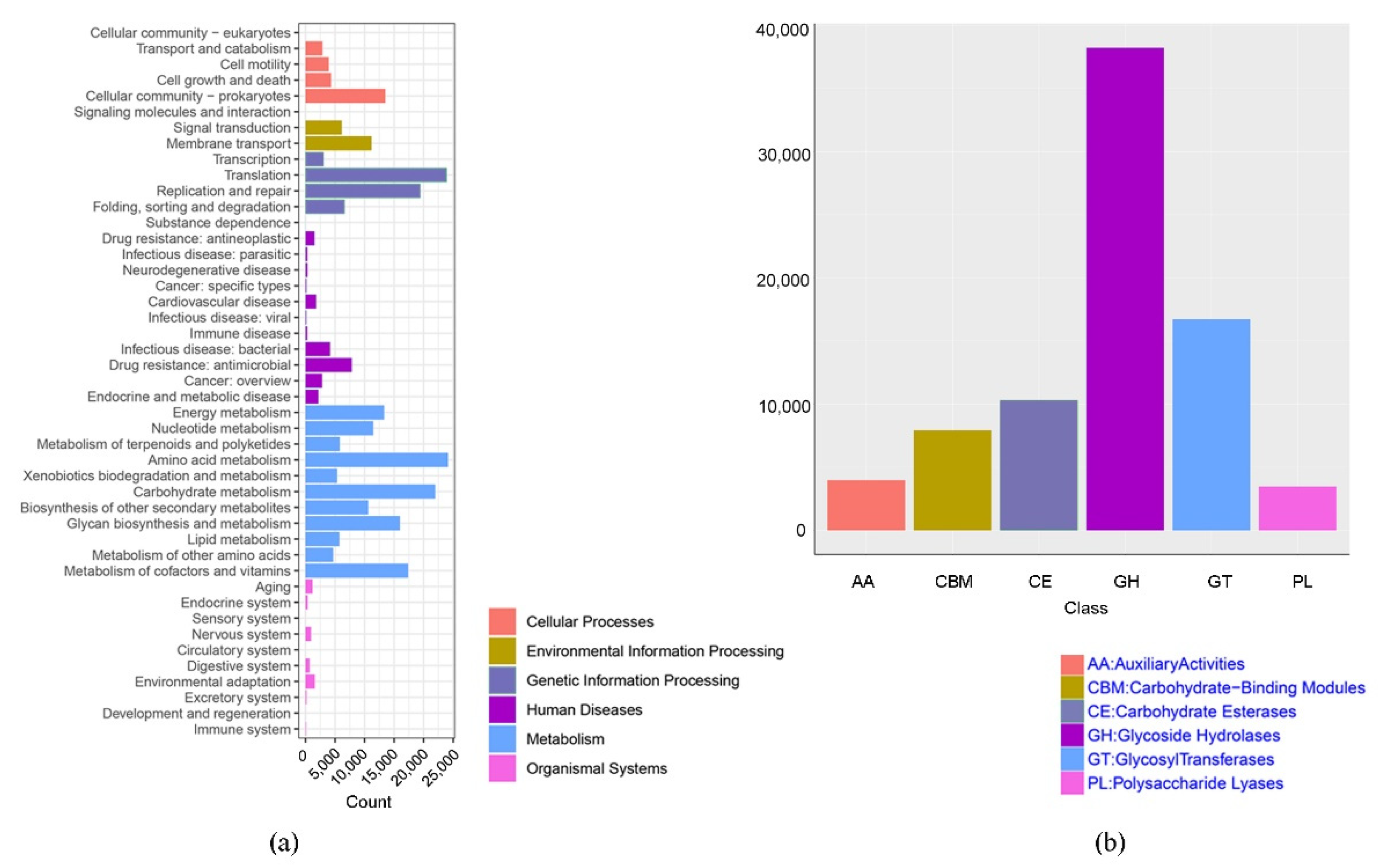 Microorganisms 10 01166 g004 Microorganisms 10 01166 g004