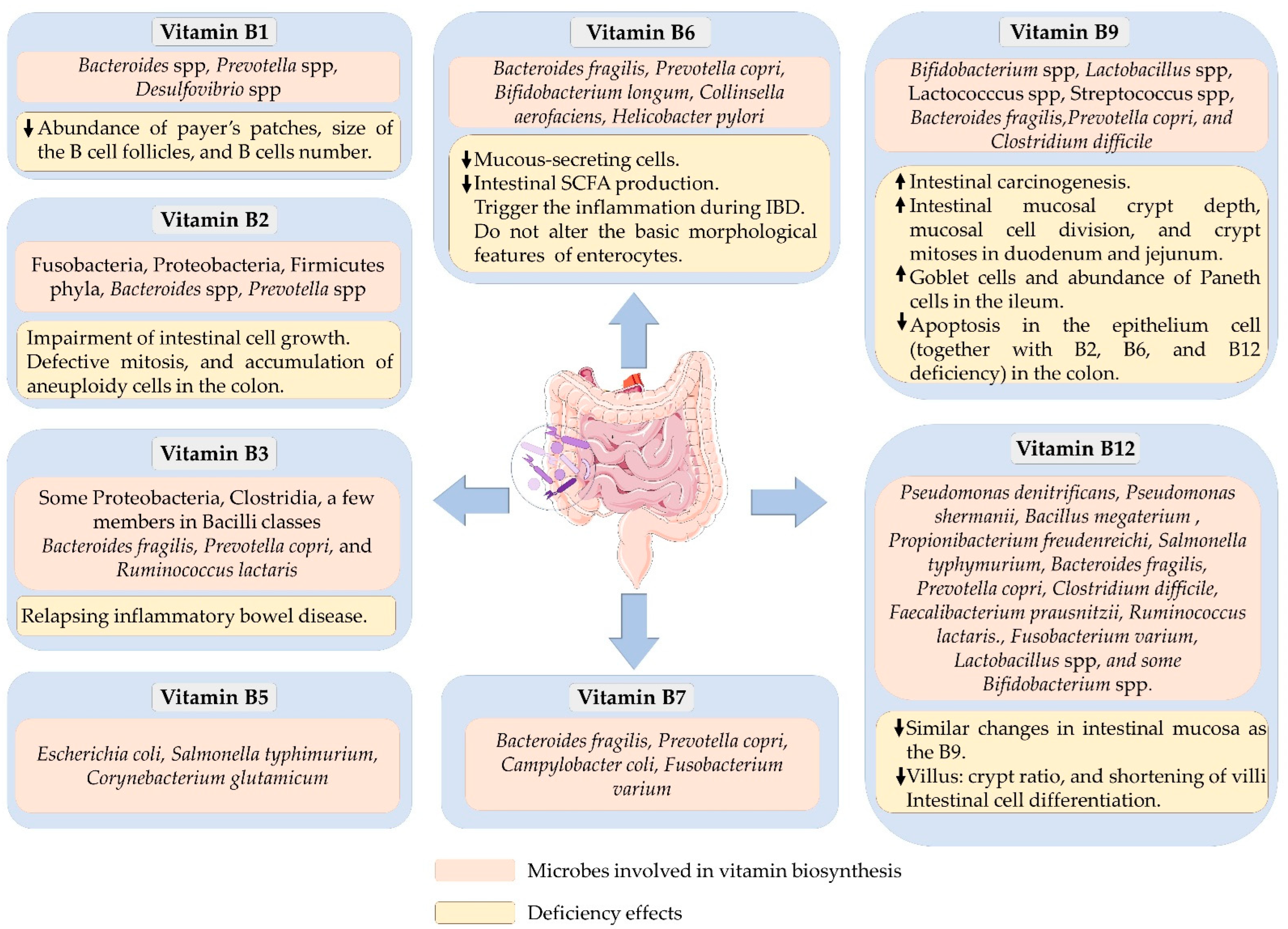 Microorganisms 10 01168 g001