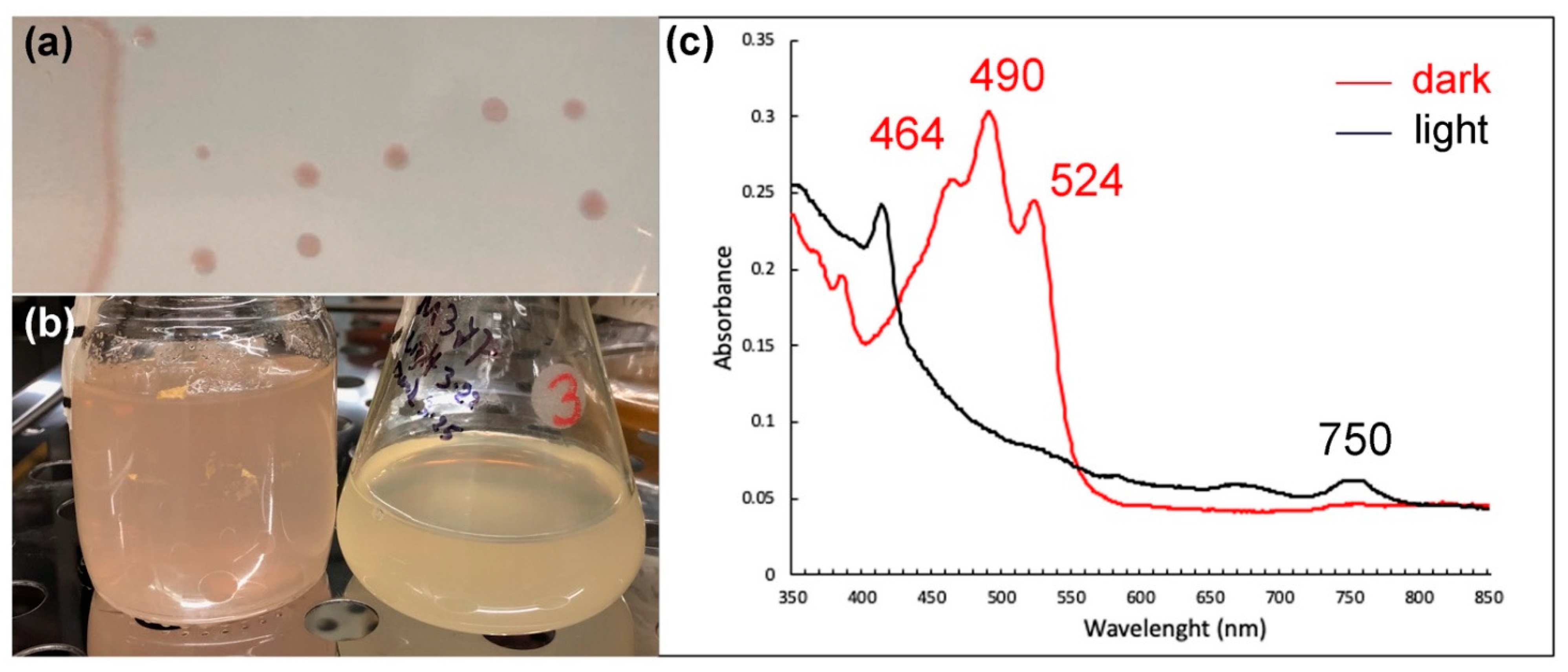 Microorganisms 10 01169 g004 Microorganisms 10 01169 g004