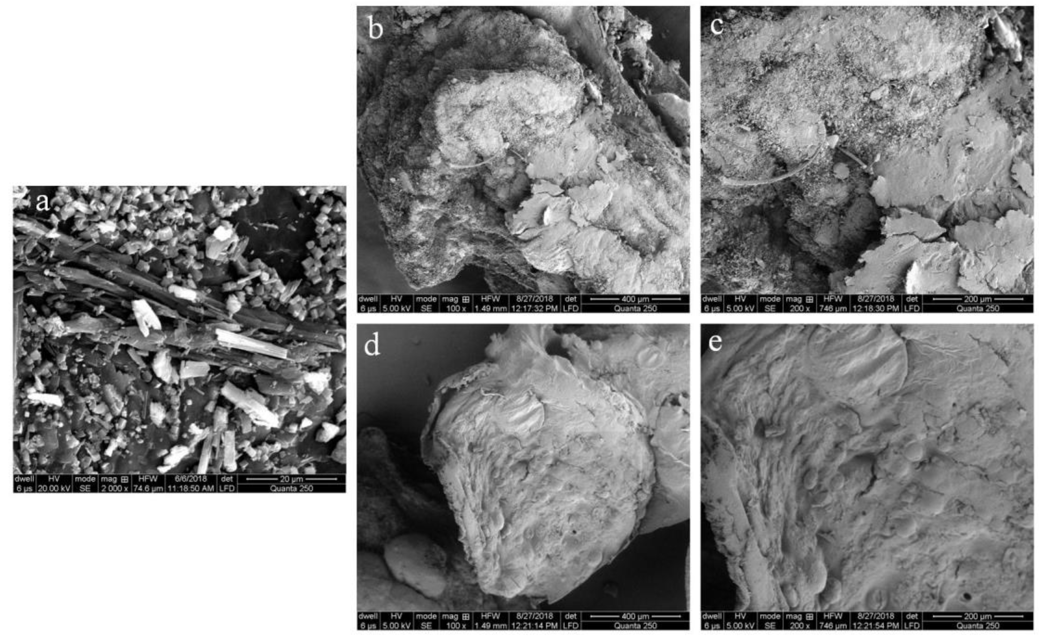 Microorganisms 10 01171 g005 Microorganisms 10 01171 g005