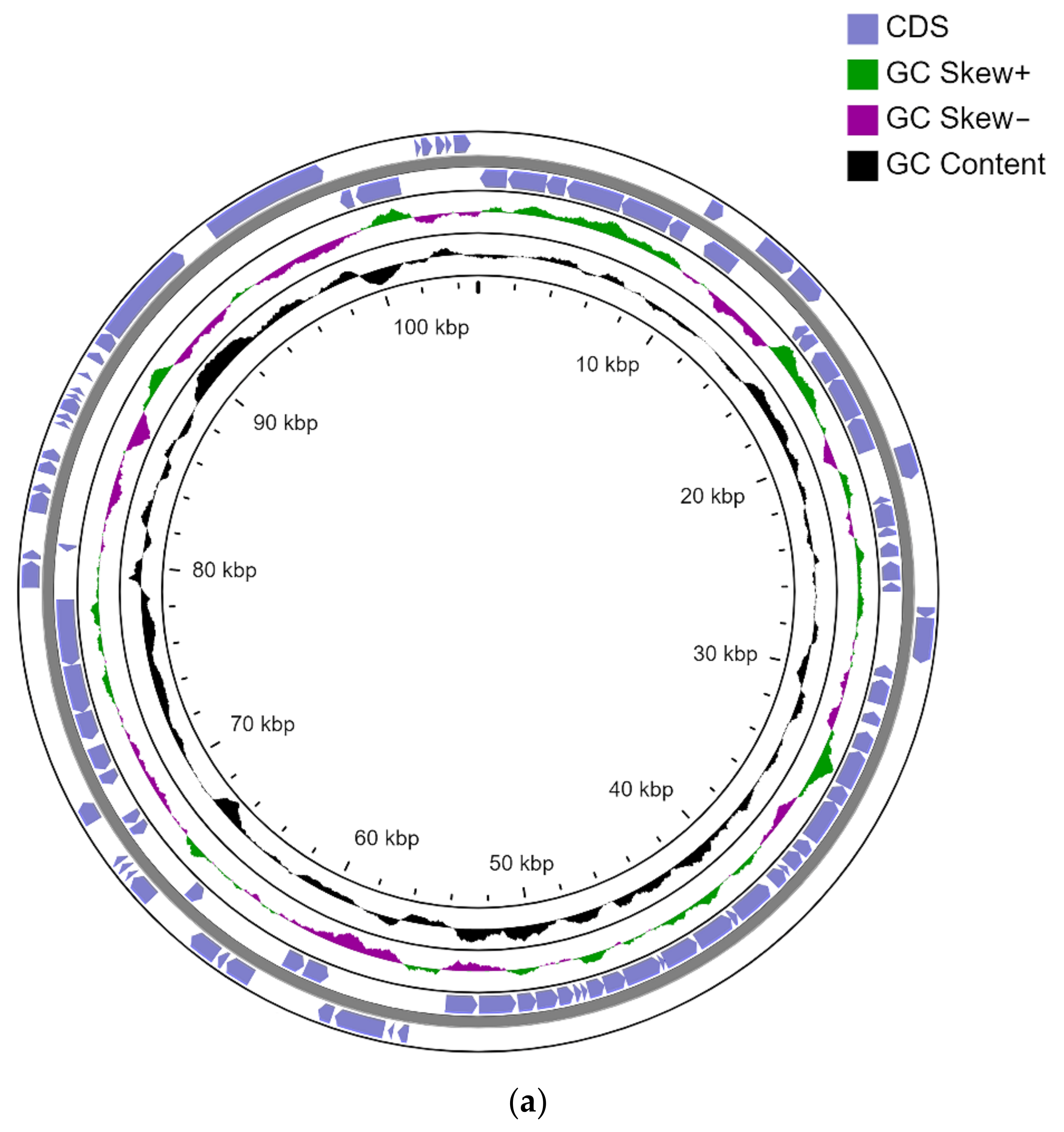 Microorganisms 10 01172 g001a