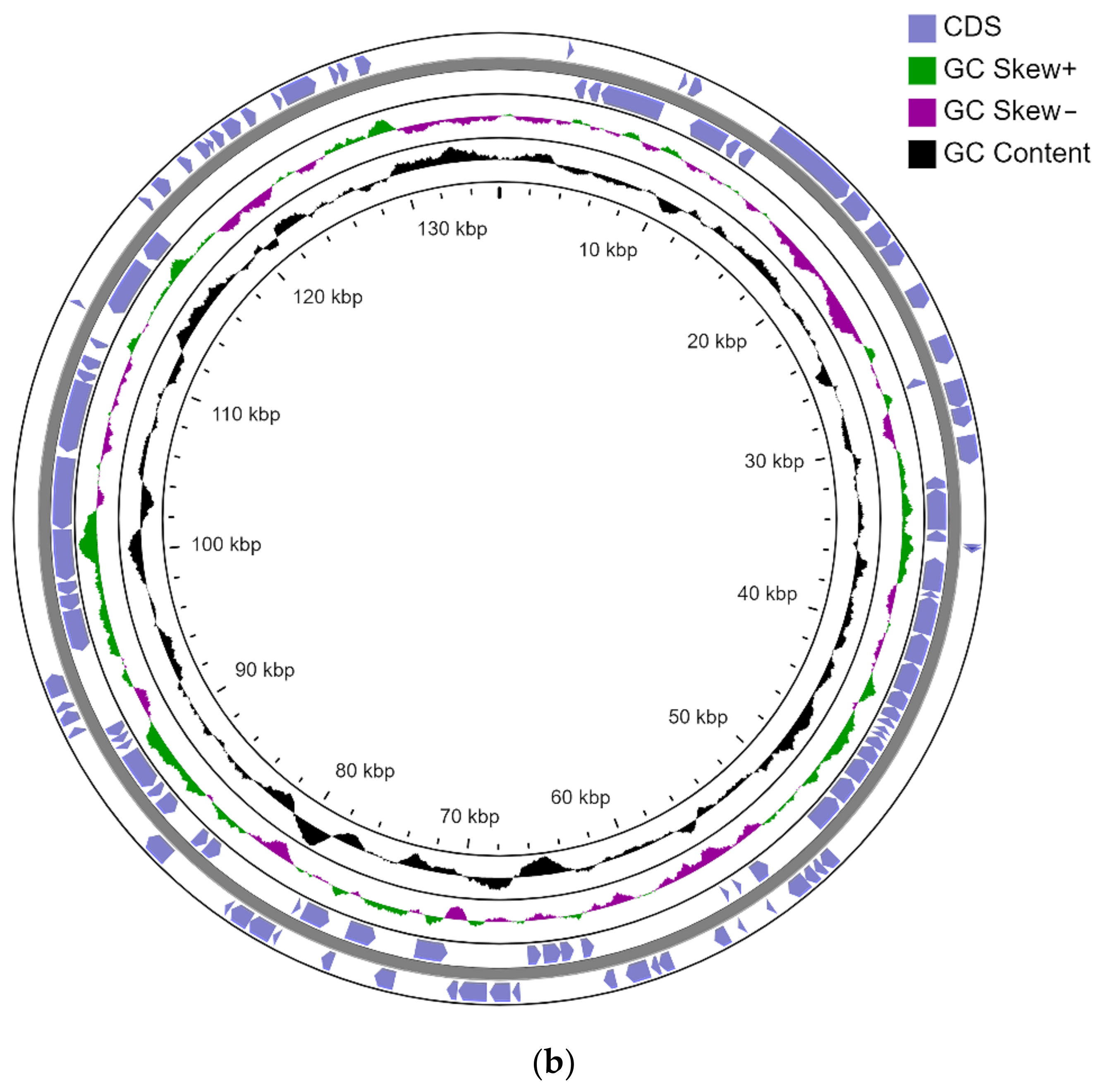 Microorganisms 10 01172 g001b