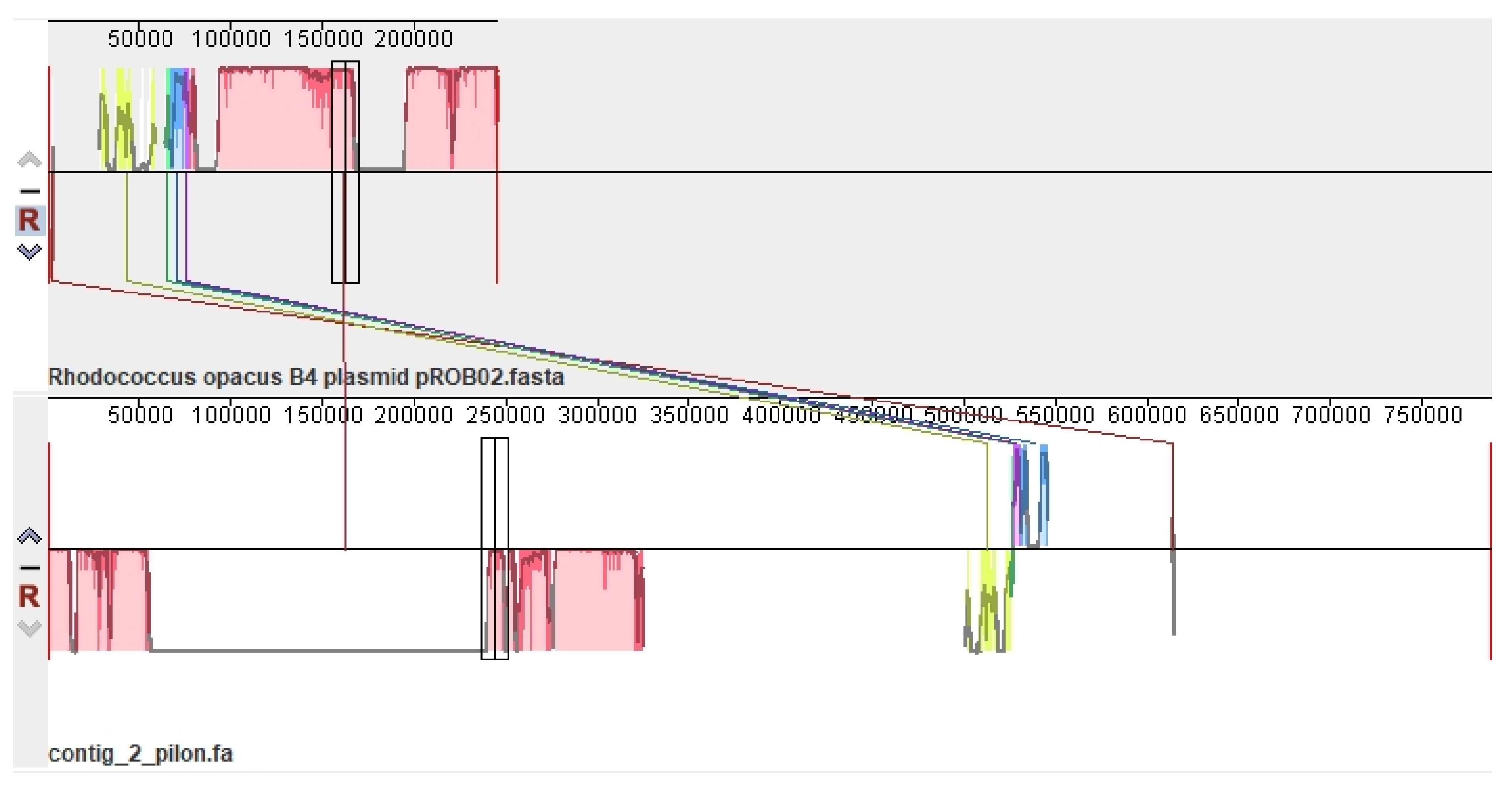 Microorganisms 10 01172 g002