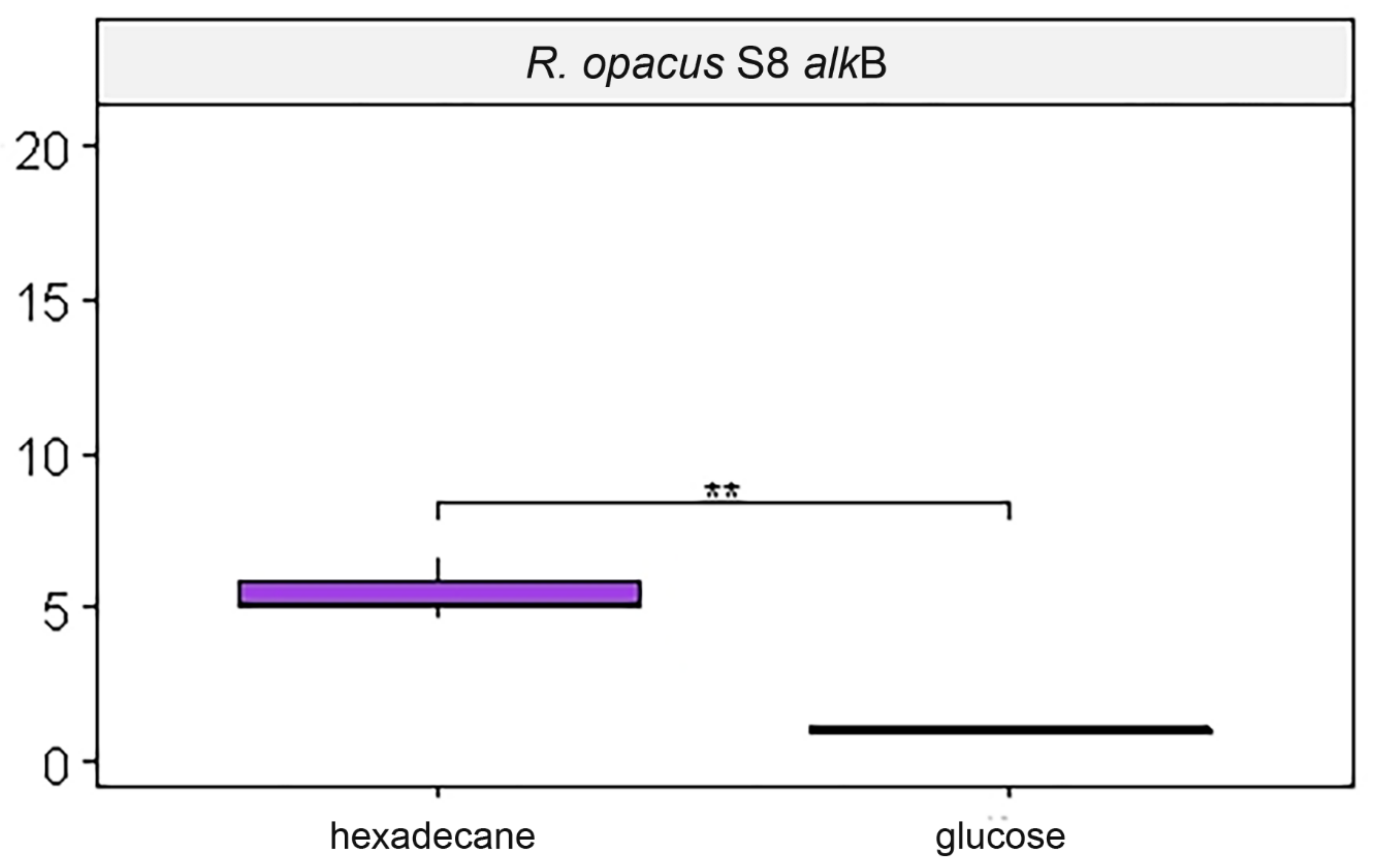 Microorganisms 10 01172 g003