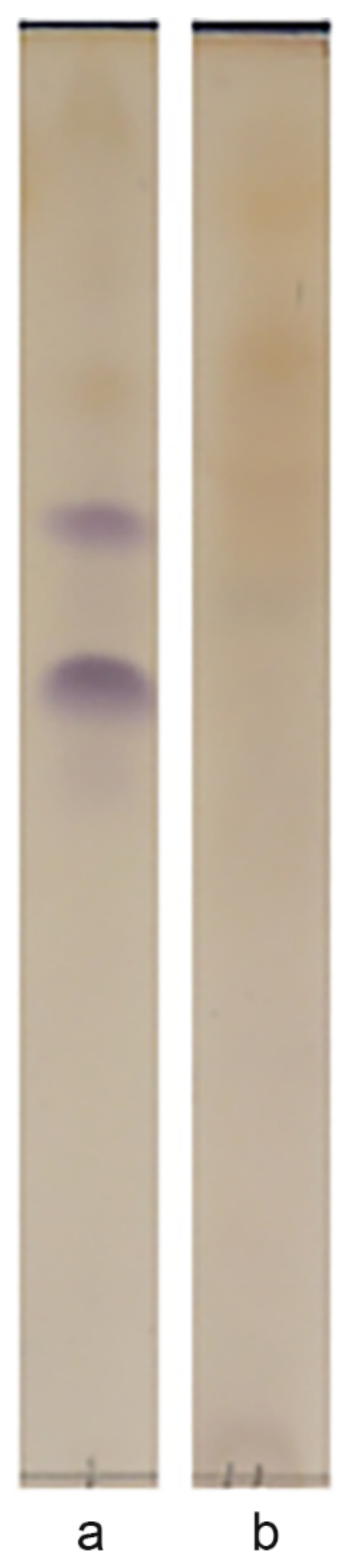 Microorganisms 10 01172 g004