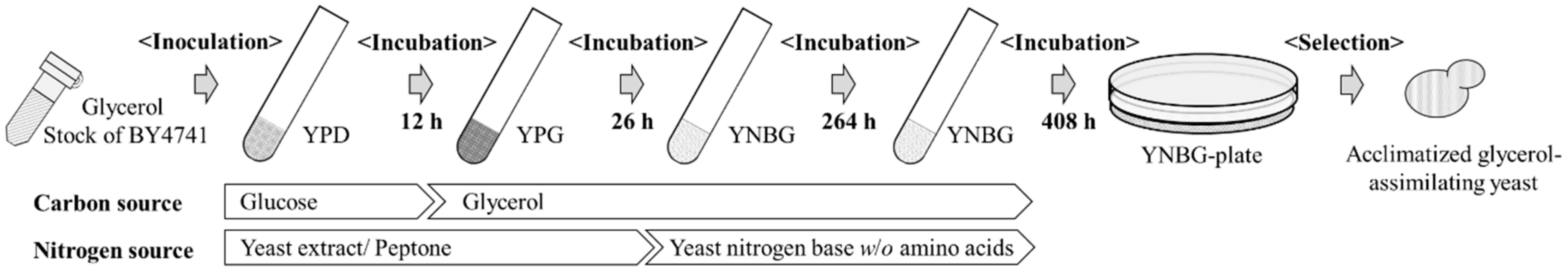 Microorganisms 10 01173 g001 Microorganisms 10 01173 g001