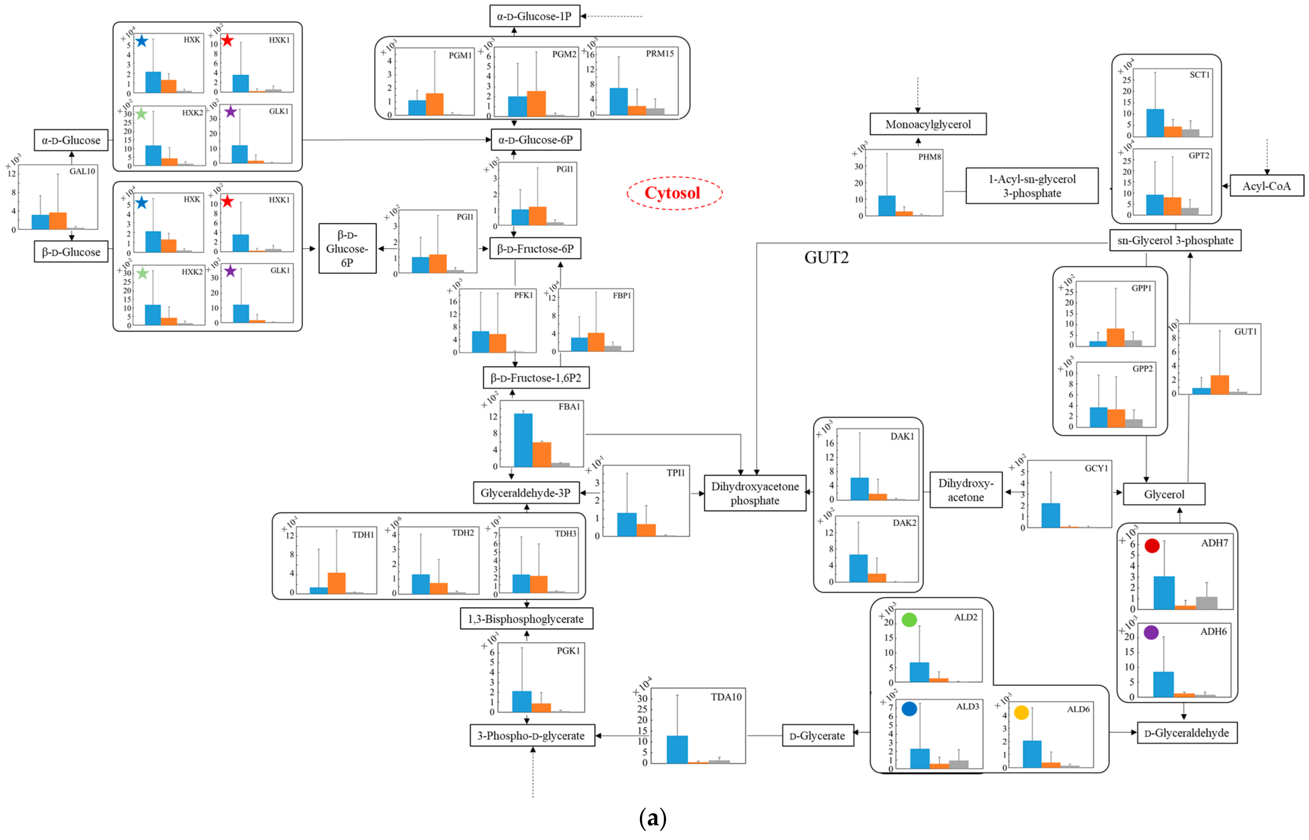 Microorganisms 10 01173 g005a Microorganisms 10 01173 g005a