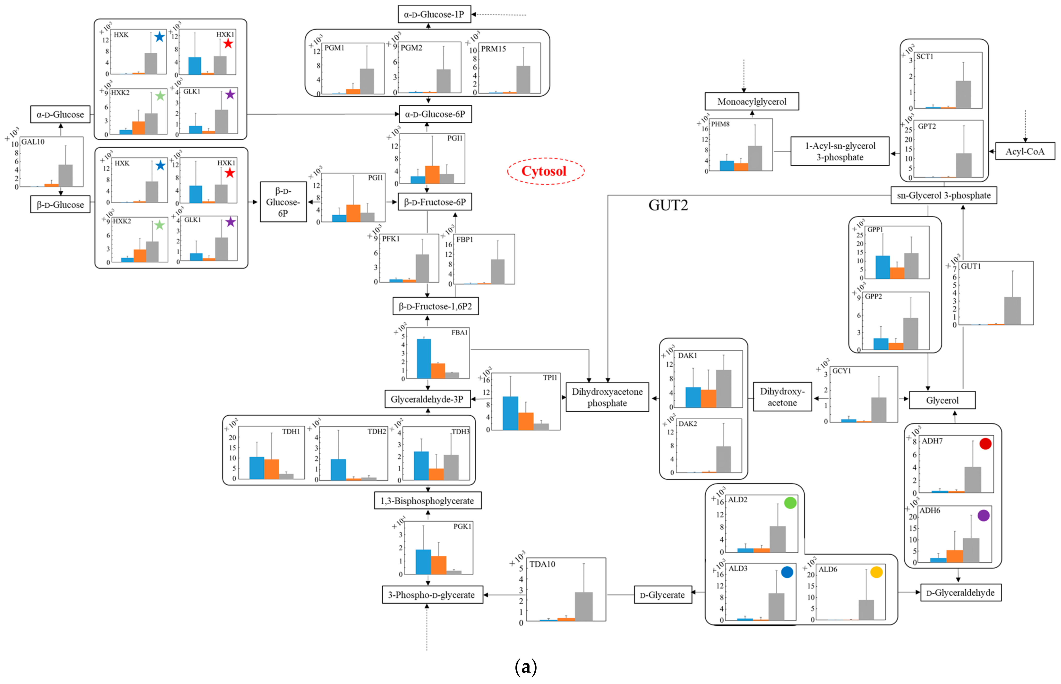 Microorganisms 10 01173 g006a Microorganisms 10 01173 g006a