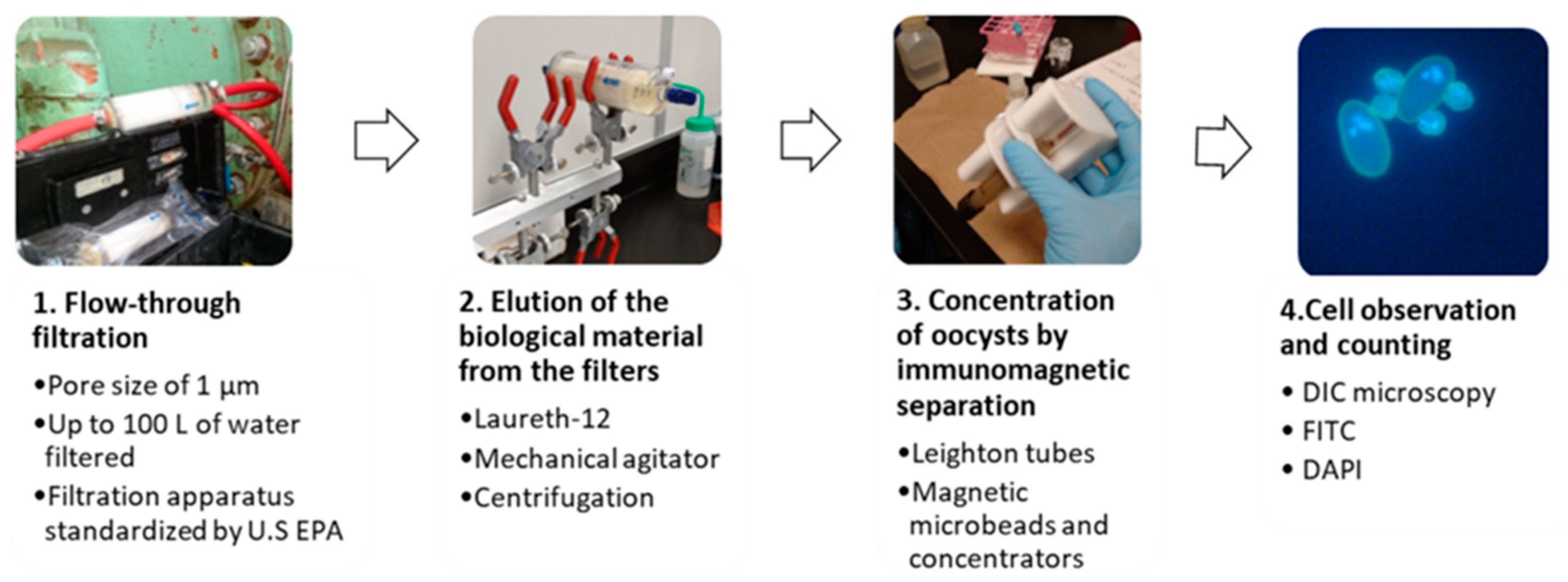 Microorganisms 10 01175 g001 Microorganisms 10 01175 g001