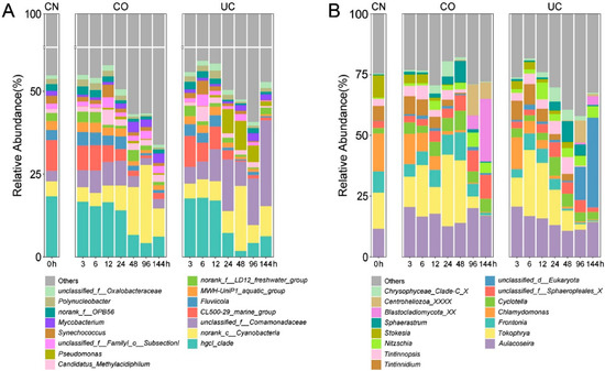 うめ Therapeutic Potential of Mitotic Kinases' Inhibitors in