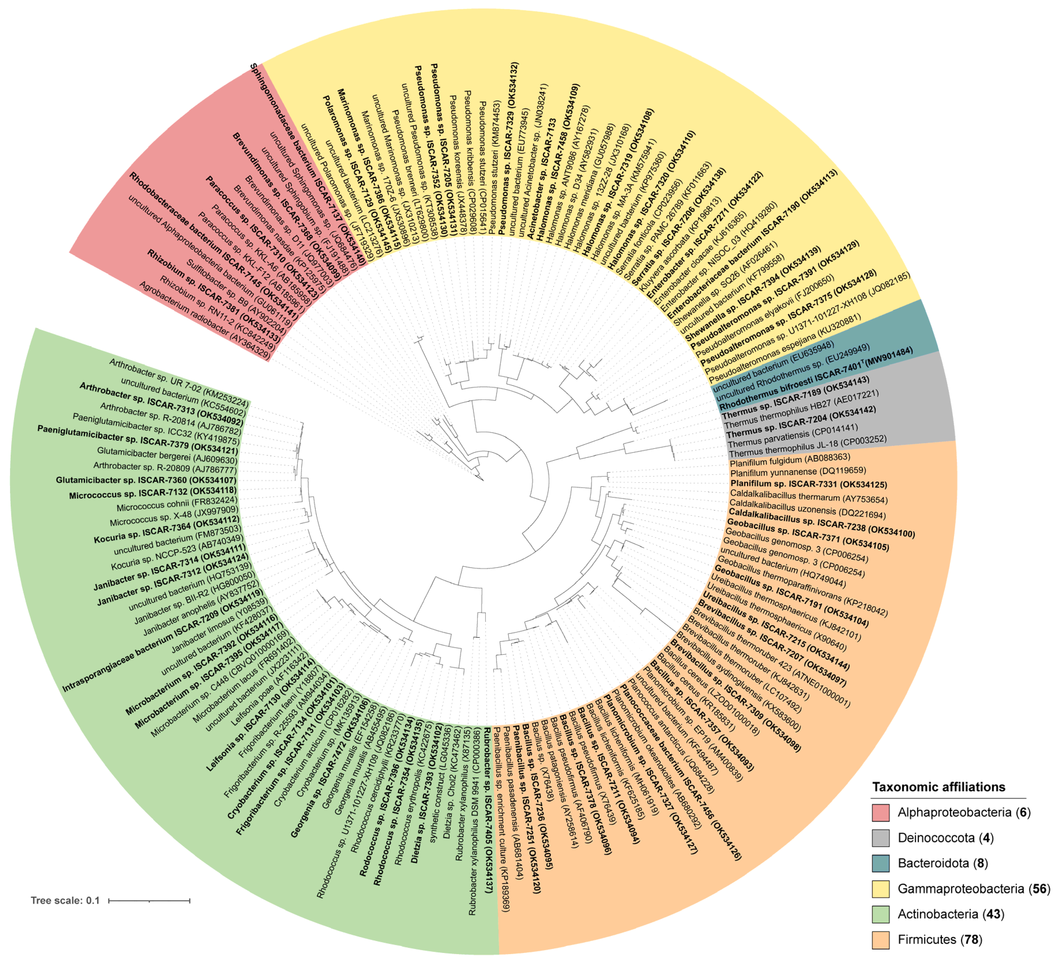 Microorganisms 10 01177 g002 Microorganisms 10 01177 g002