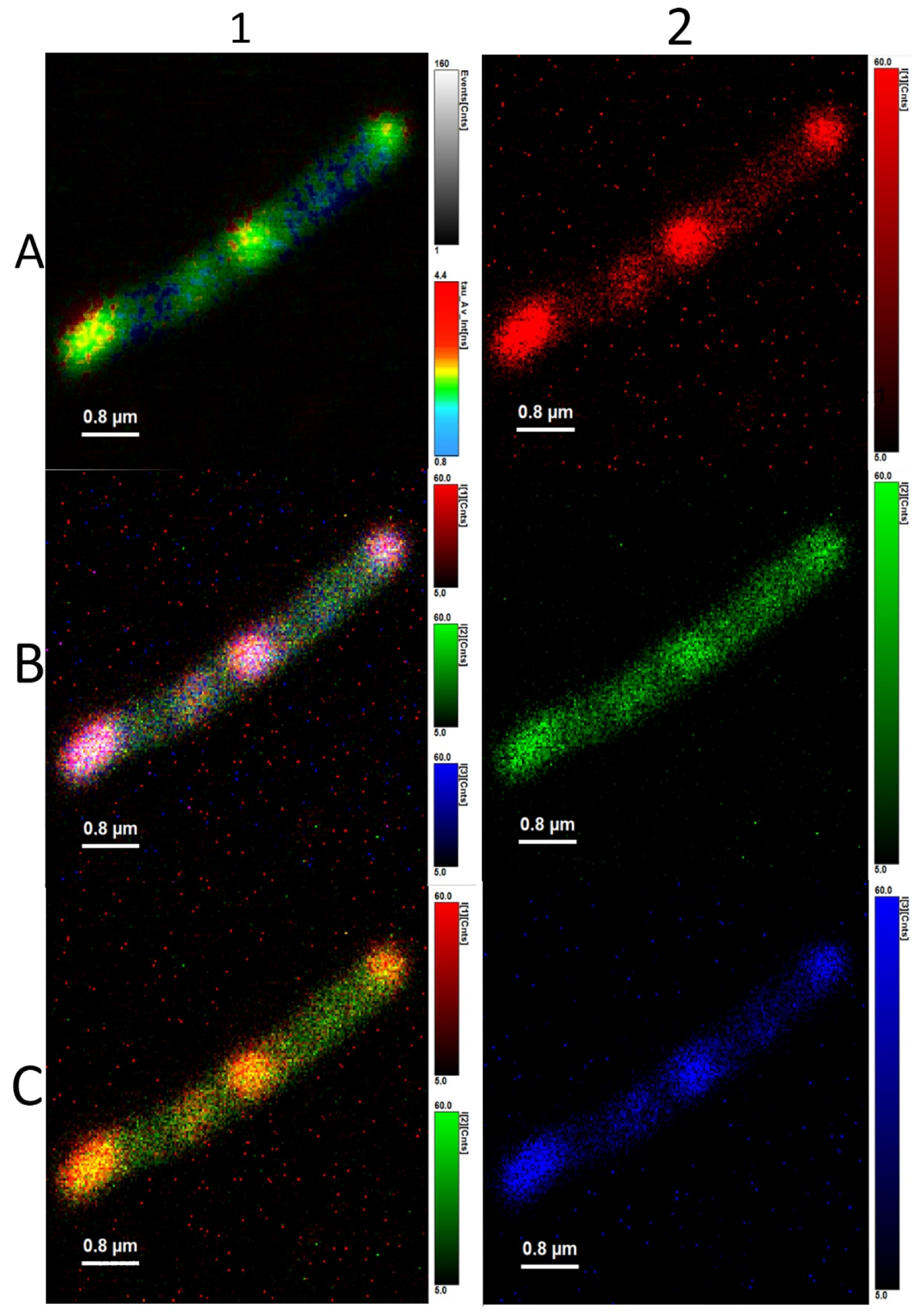 Microorganisms 10 01179 g008 Microorganisms 10 01179 g008