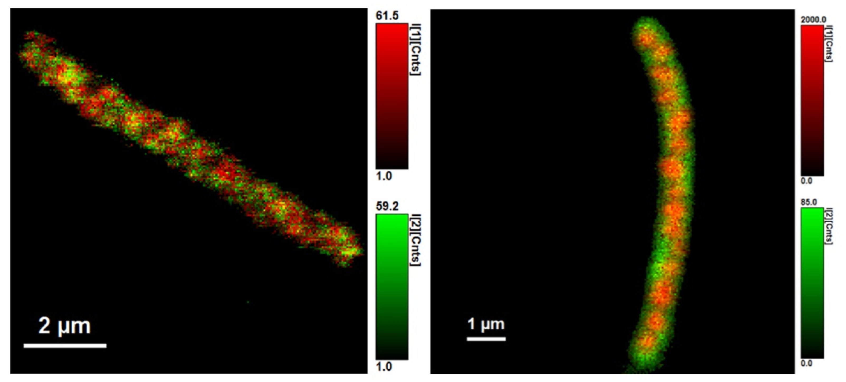 Microorganisms 10 01179 g009 Microorganisms 10 01179 g009