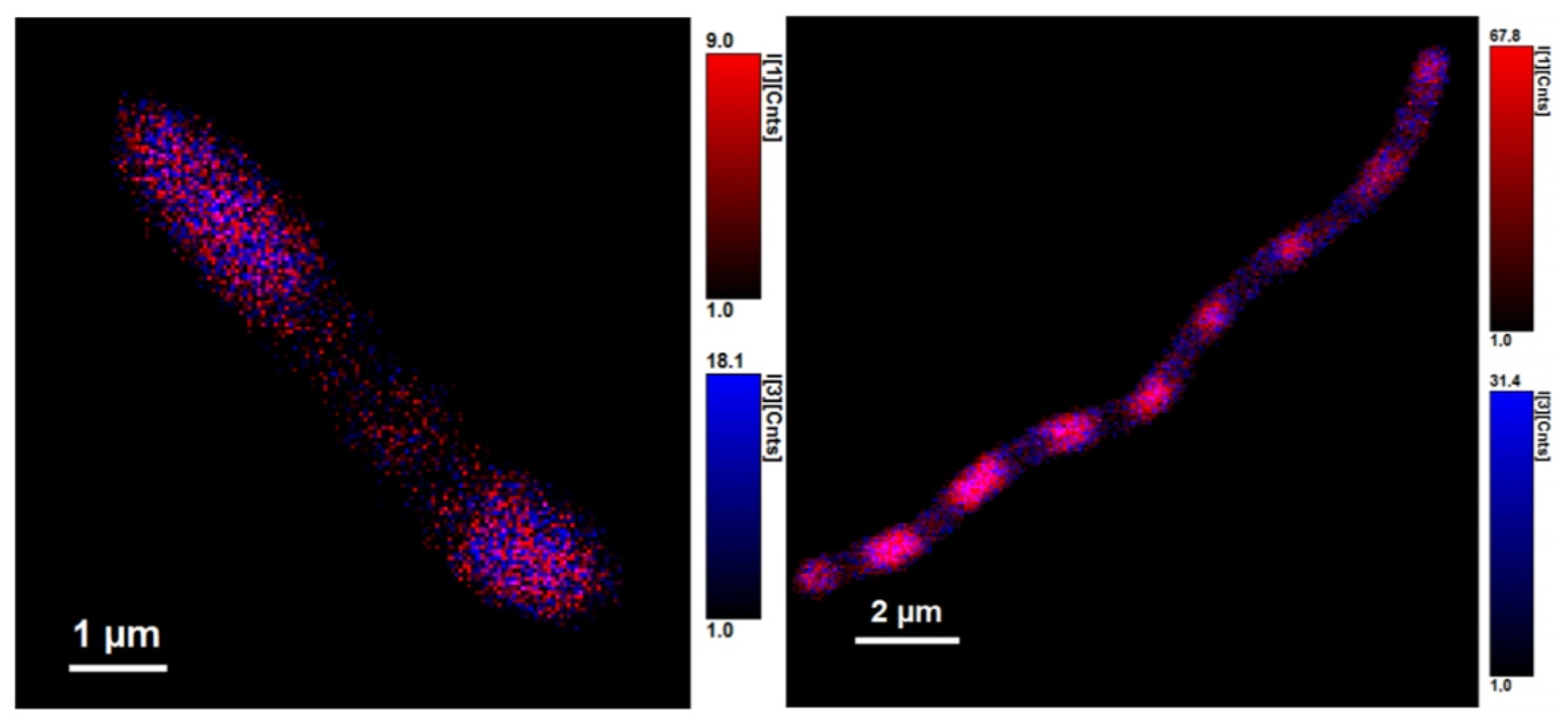 Microorganisms 10 01179 g010 Microorganisms 10 01179 g010