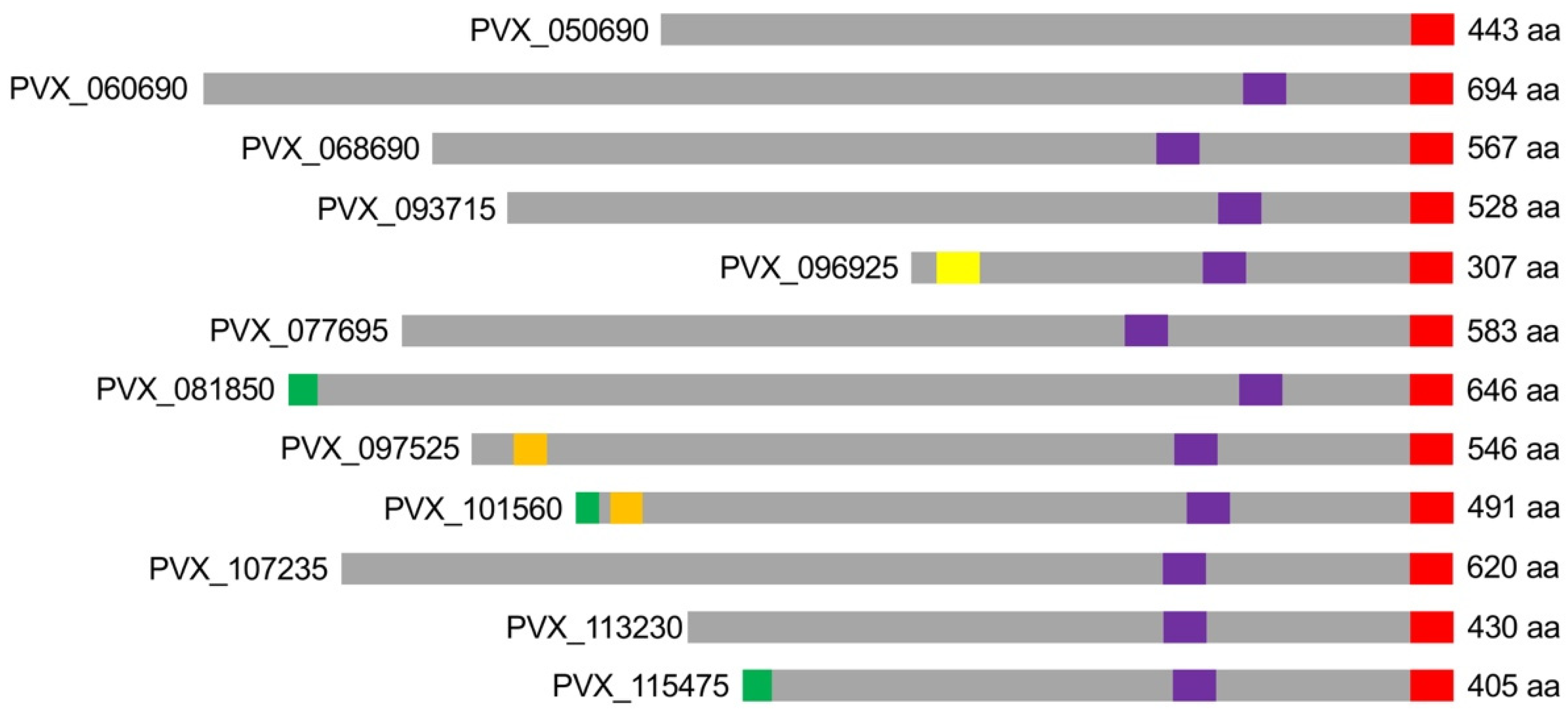 Microorganisms 10 01183 g001