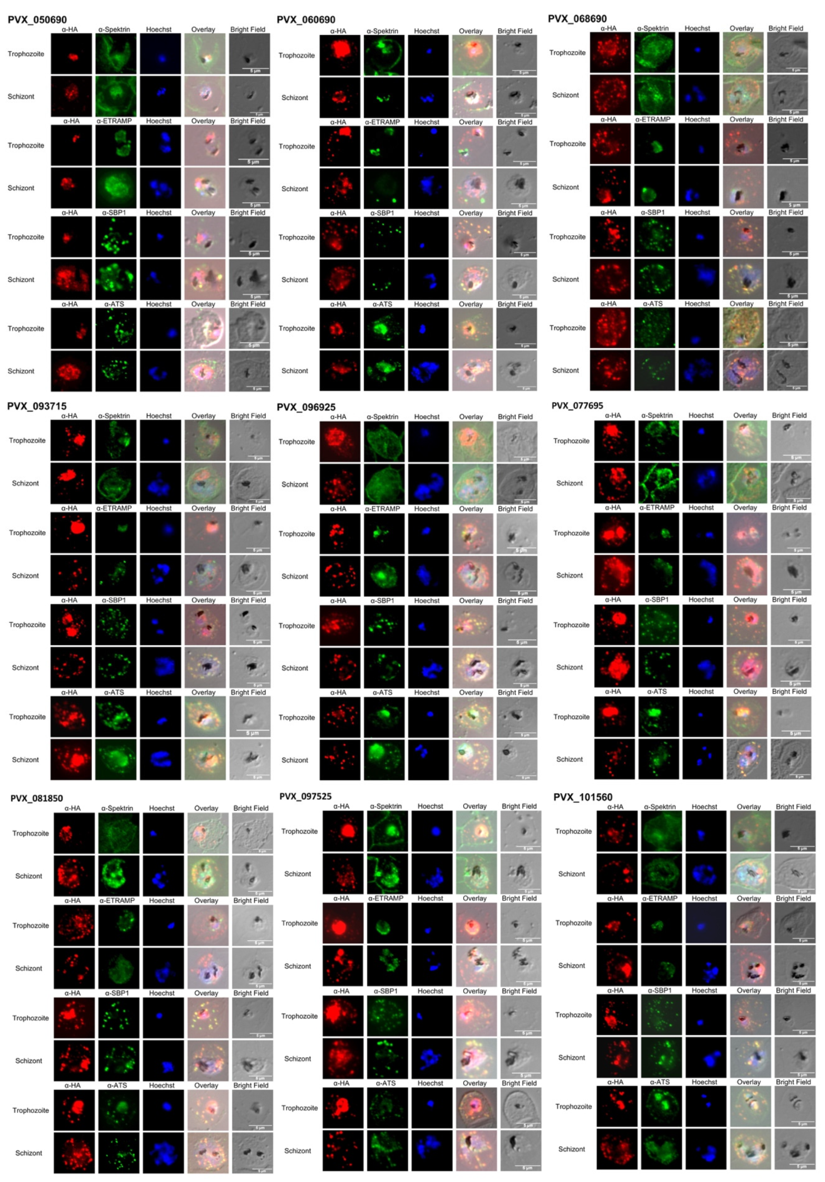 Microorganisms 10 01183 g002a