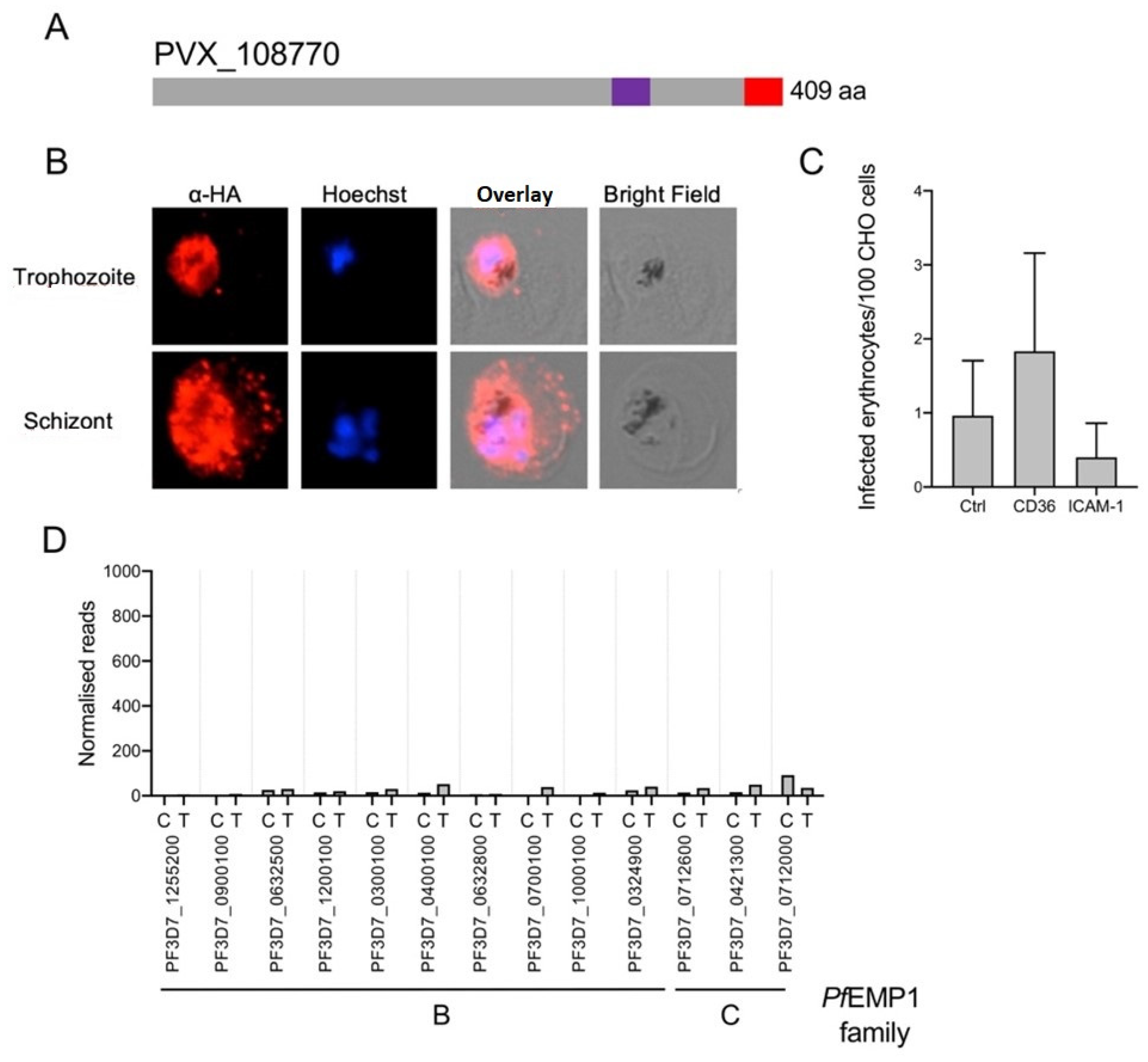 Microorganisms 10 01183 g006