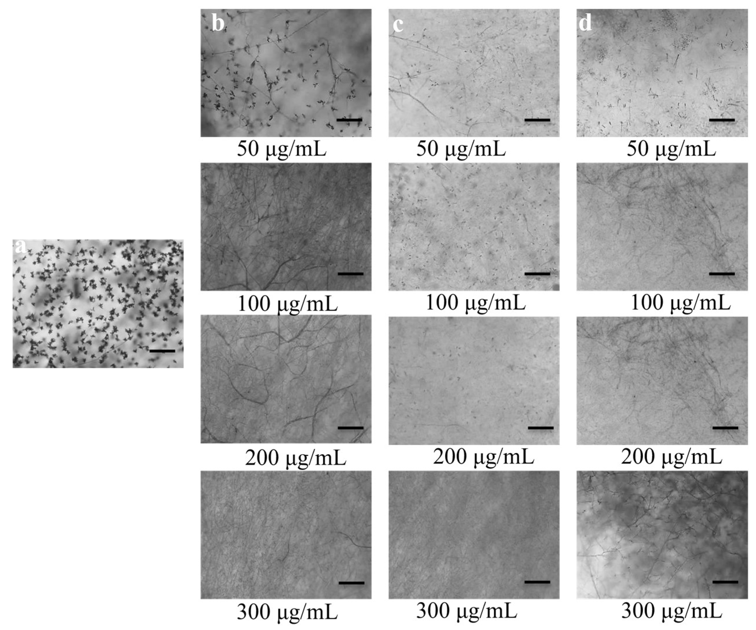 Microorganisms 10 01186 g004 Microorganisms 10 01186 g004