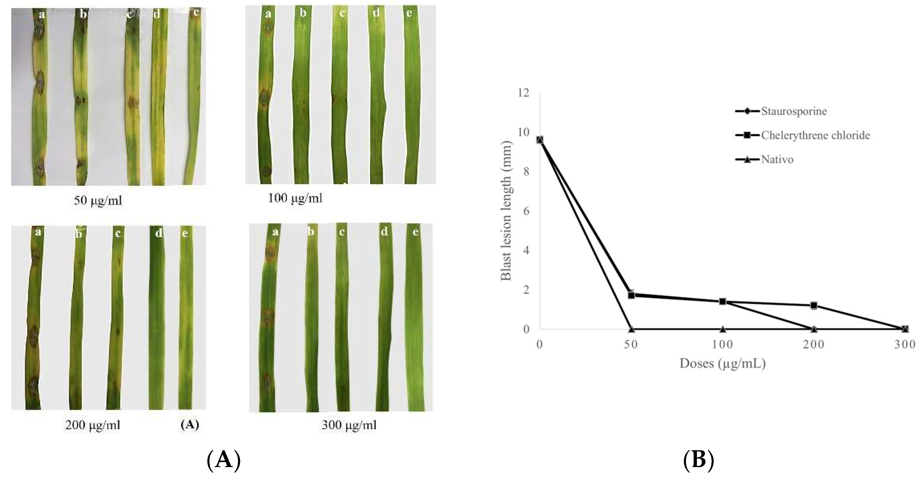 Microorganisms 10 01186 g006 Microorganisms 10 01186 g006