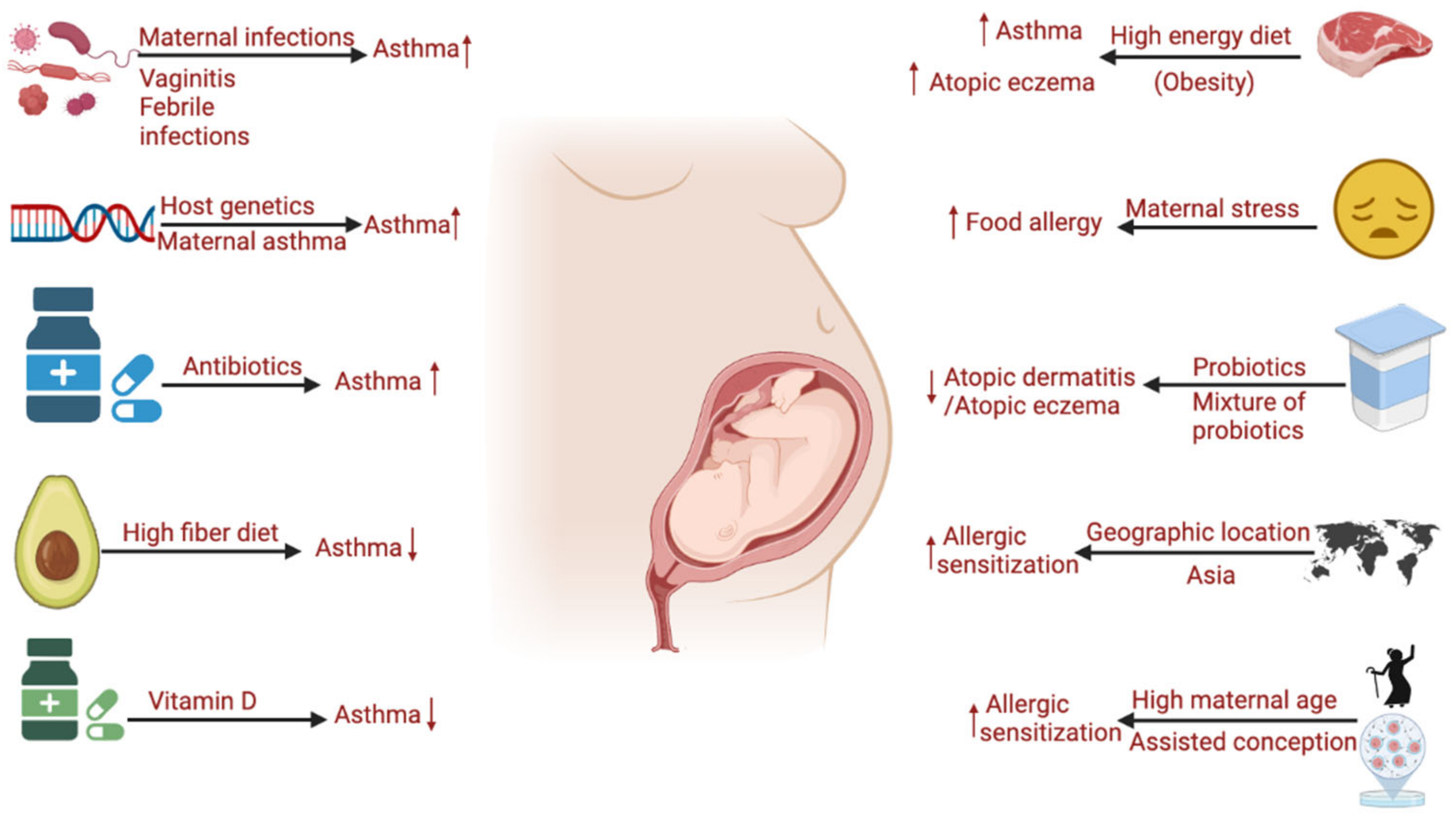 Microorganisms 10 01190 g001
