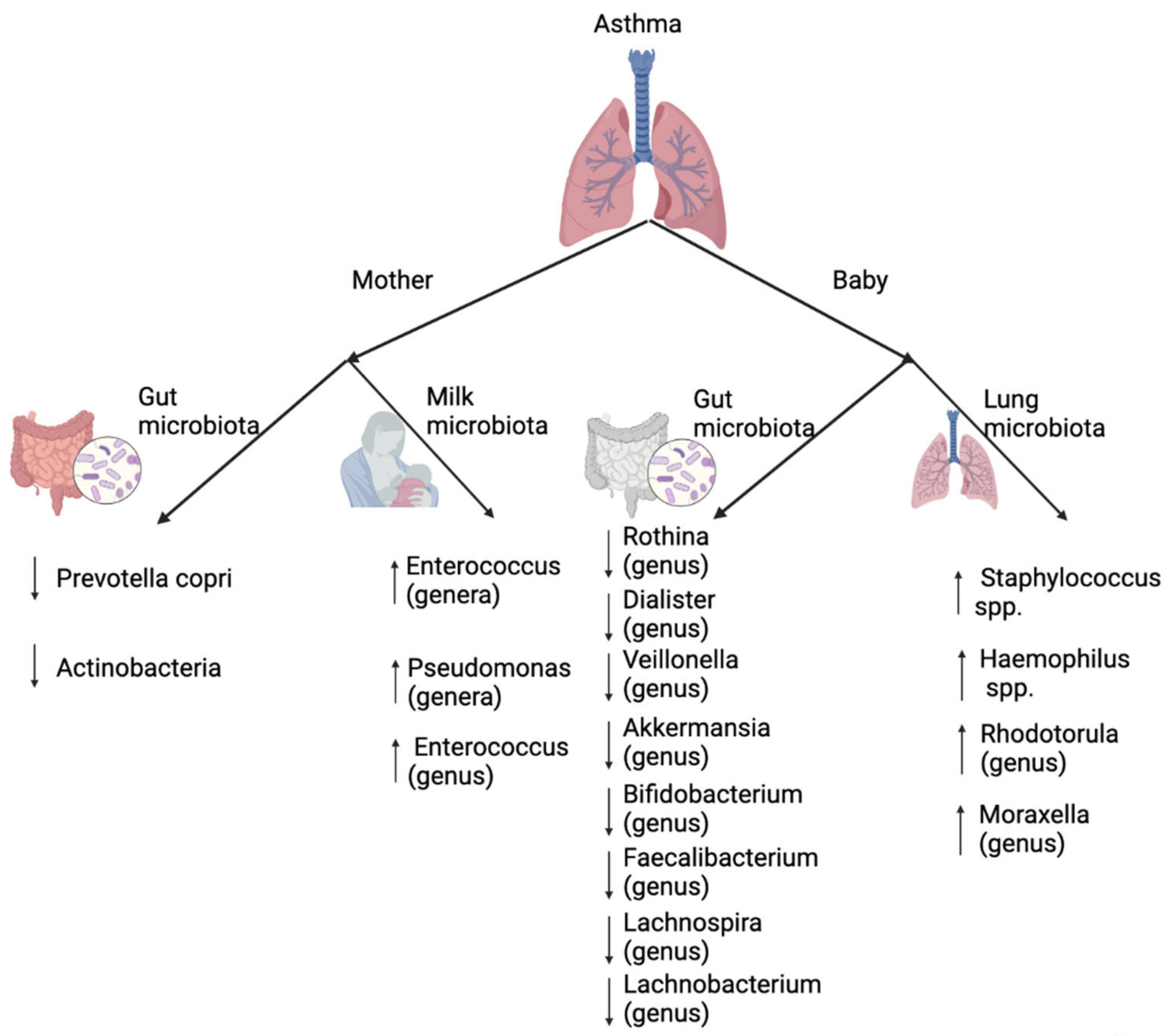 Microorganisms 10 01190 g003