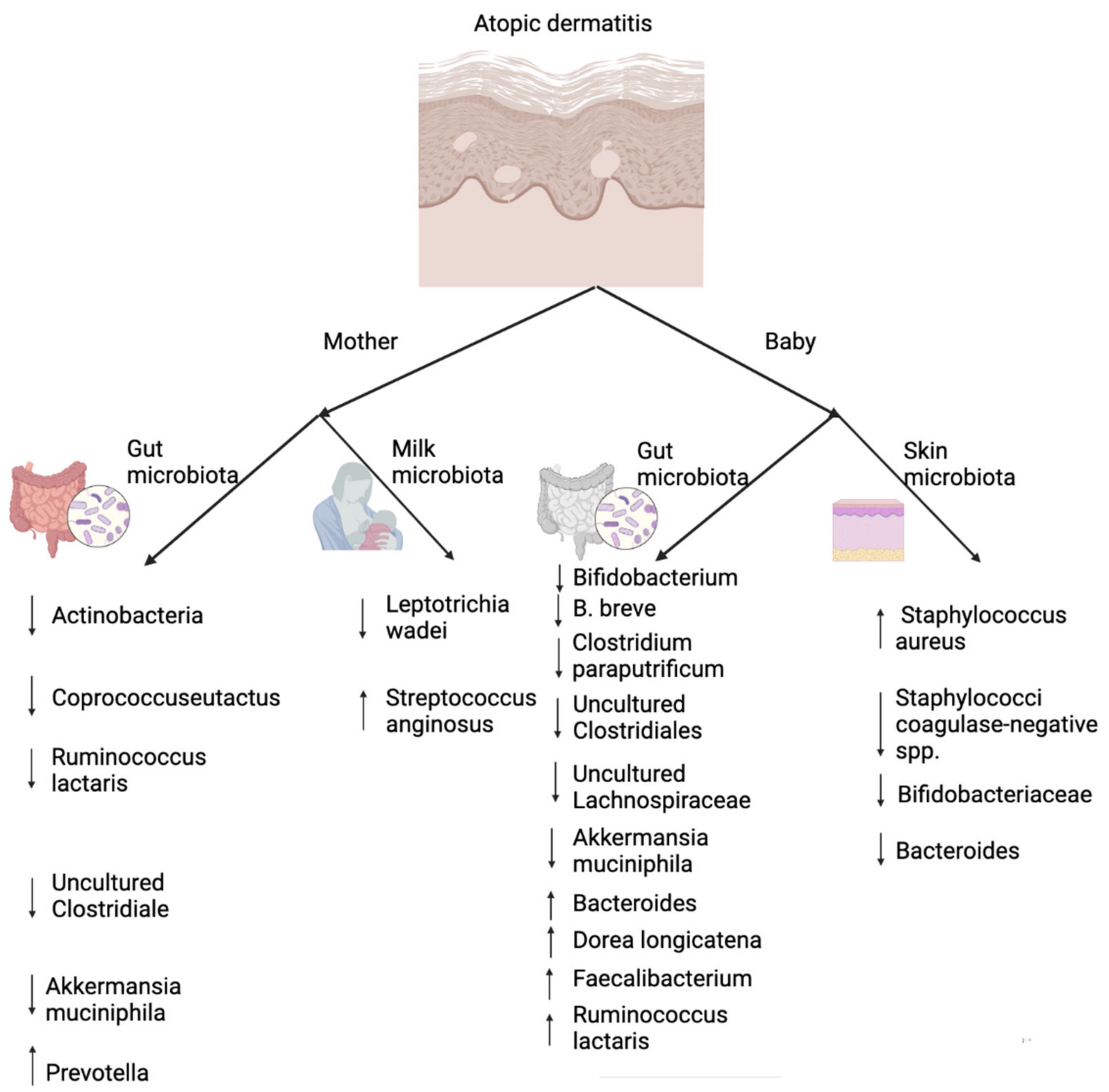 Microorganisms 10 01190 g004