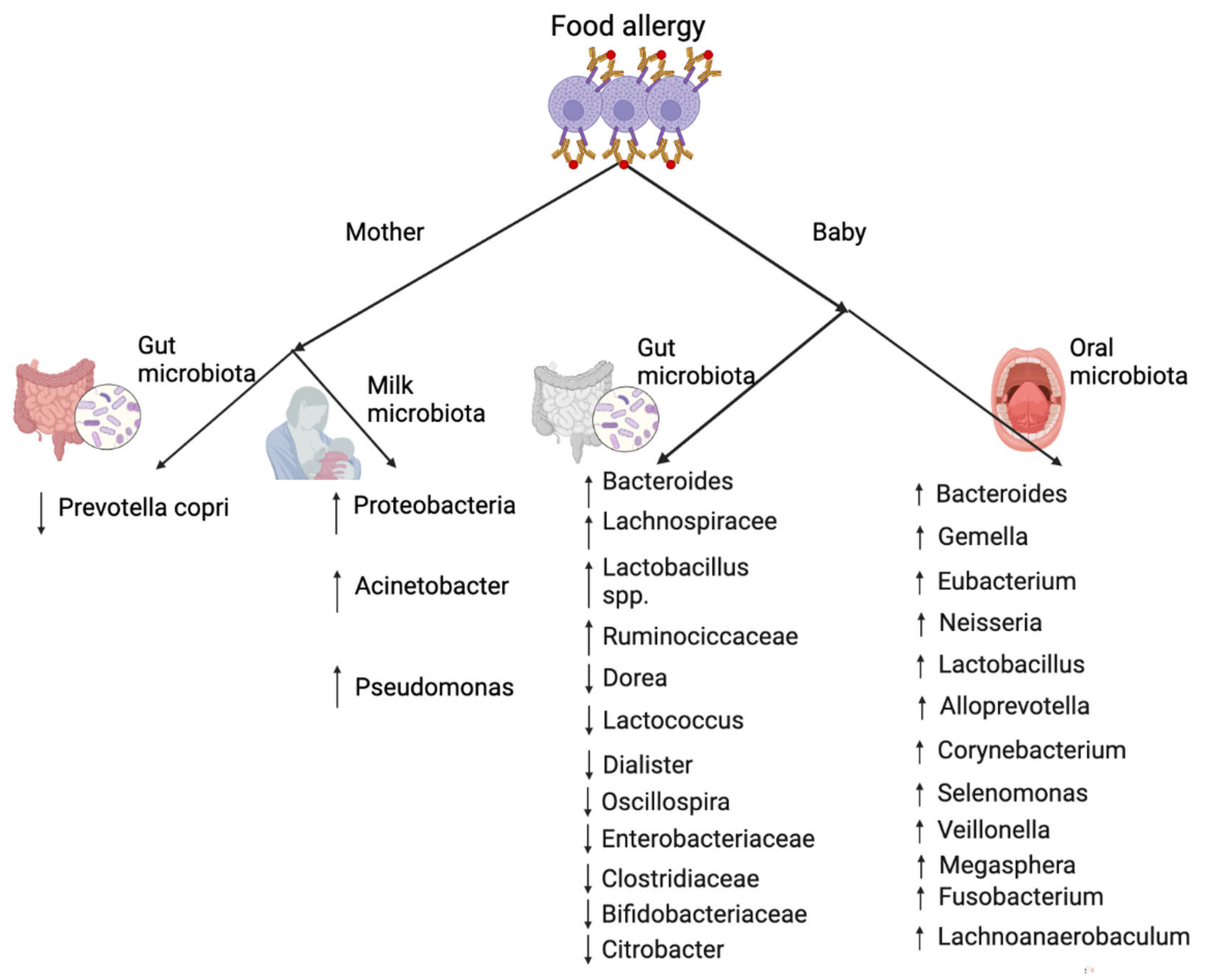 Microorganisms 10 01190 g005