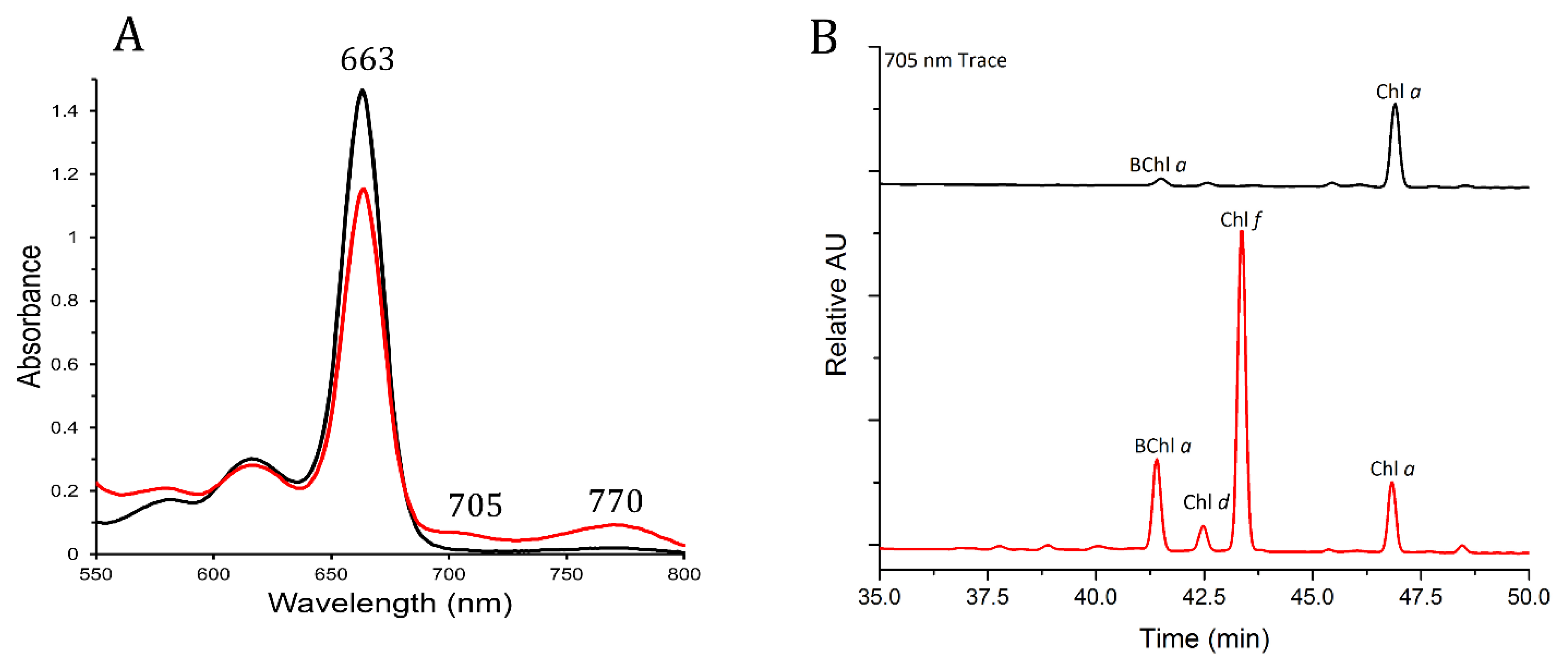 Microorganisms 10 01198 g003 550