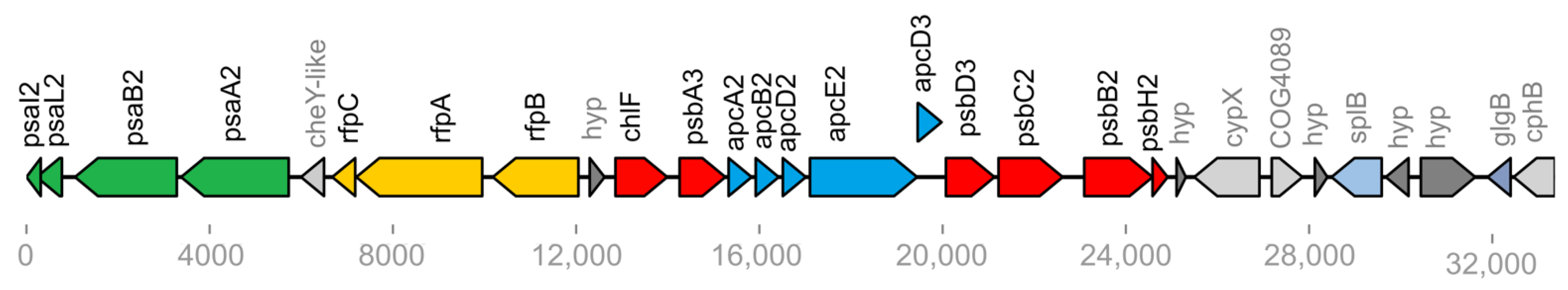 Microorganisms 10 01198 g005 550