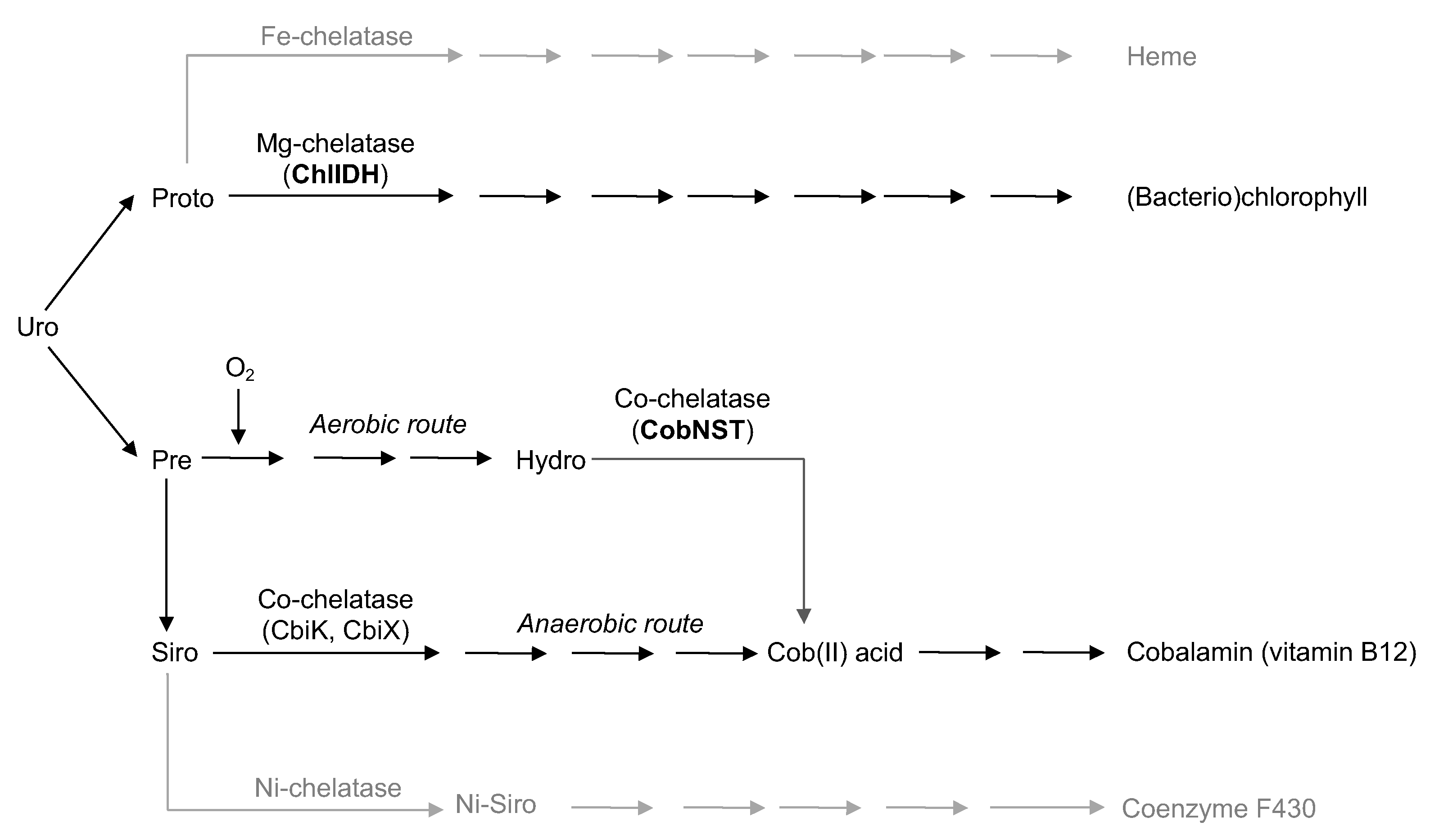 Microorganisms 10 01200 g001