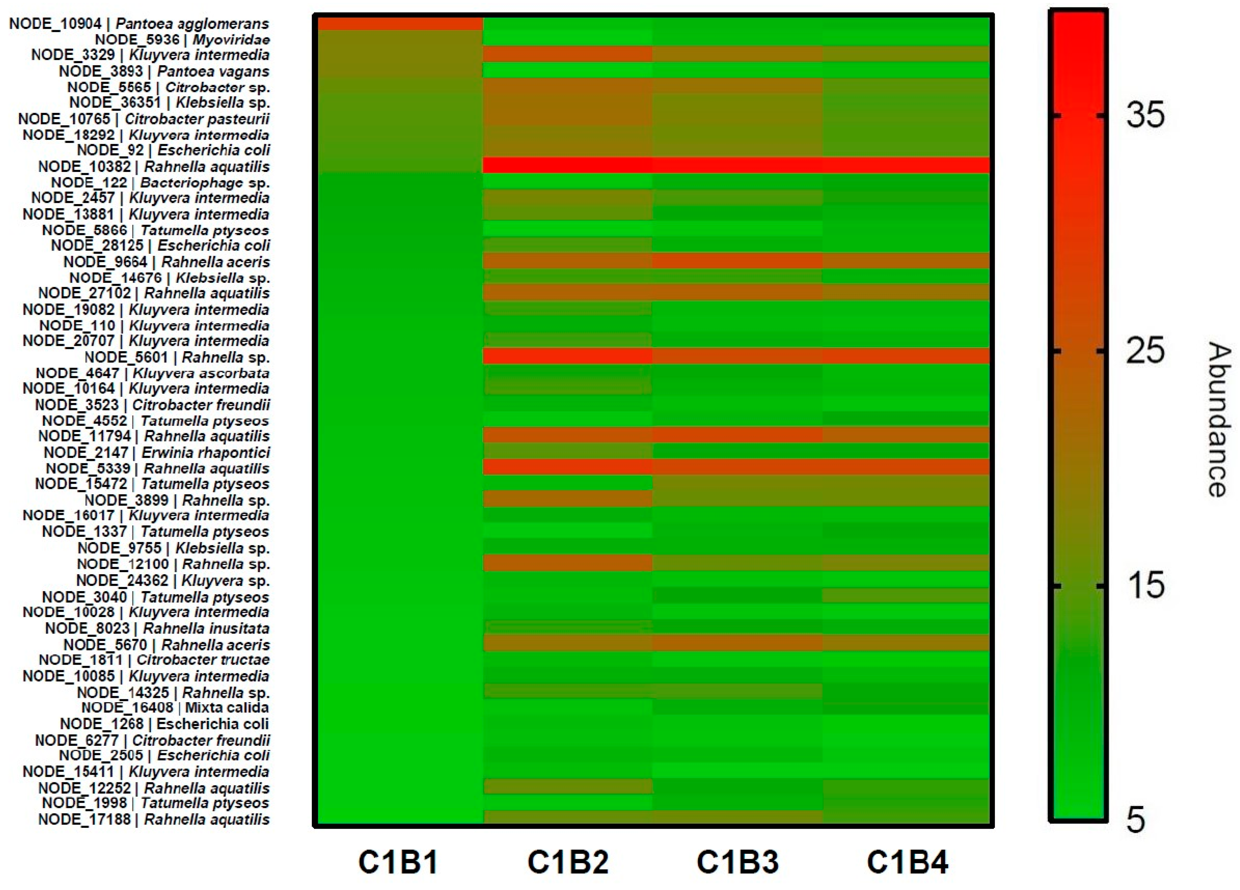 Microorganisms 10 01203 g001