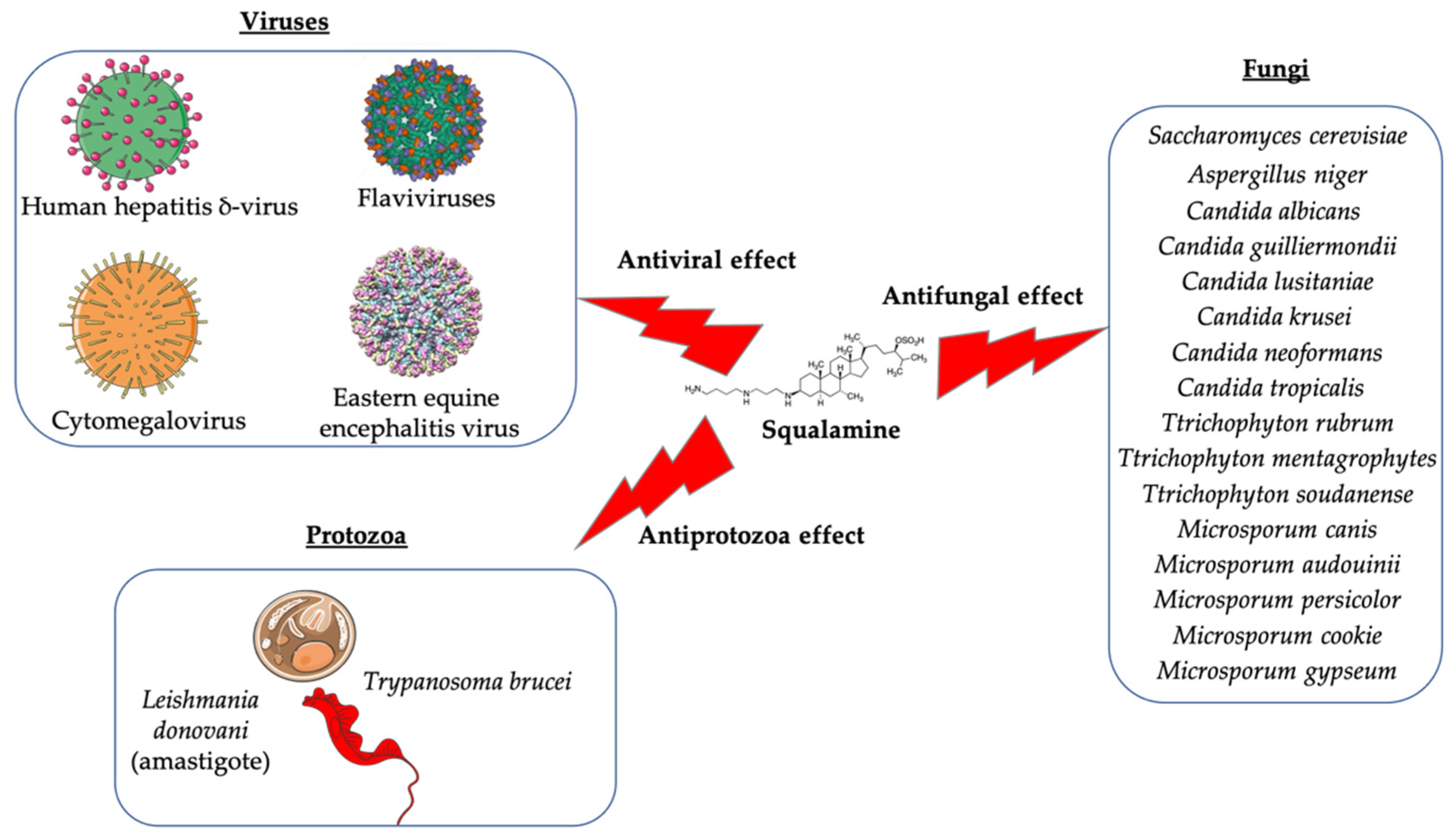 Microorganisms 10 01205 g002