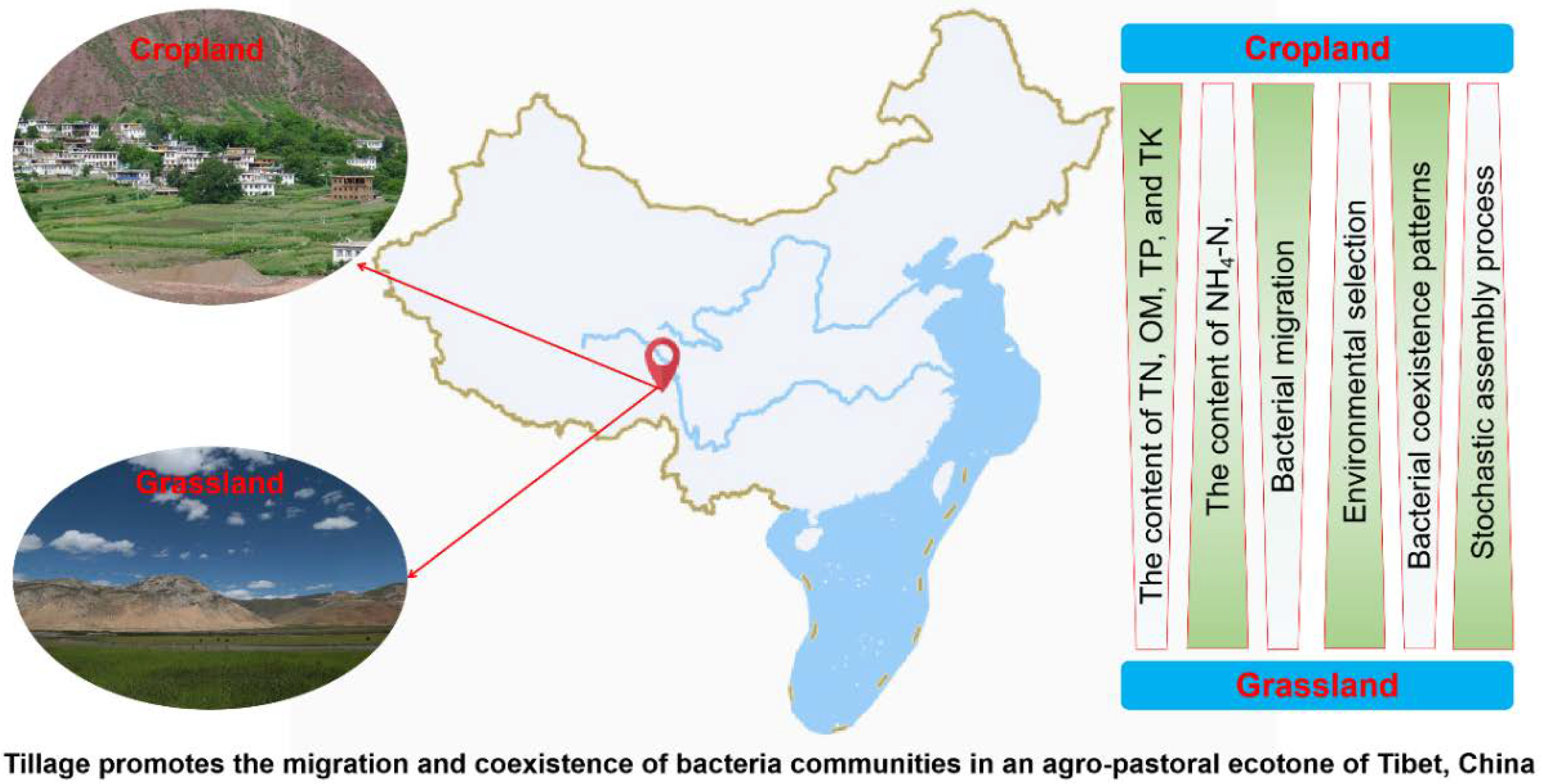 Microorganisms 10 01206 g007