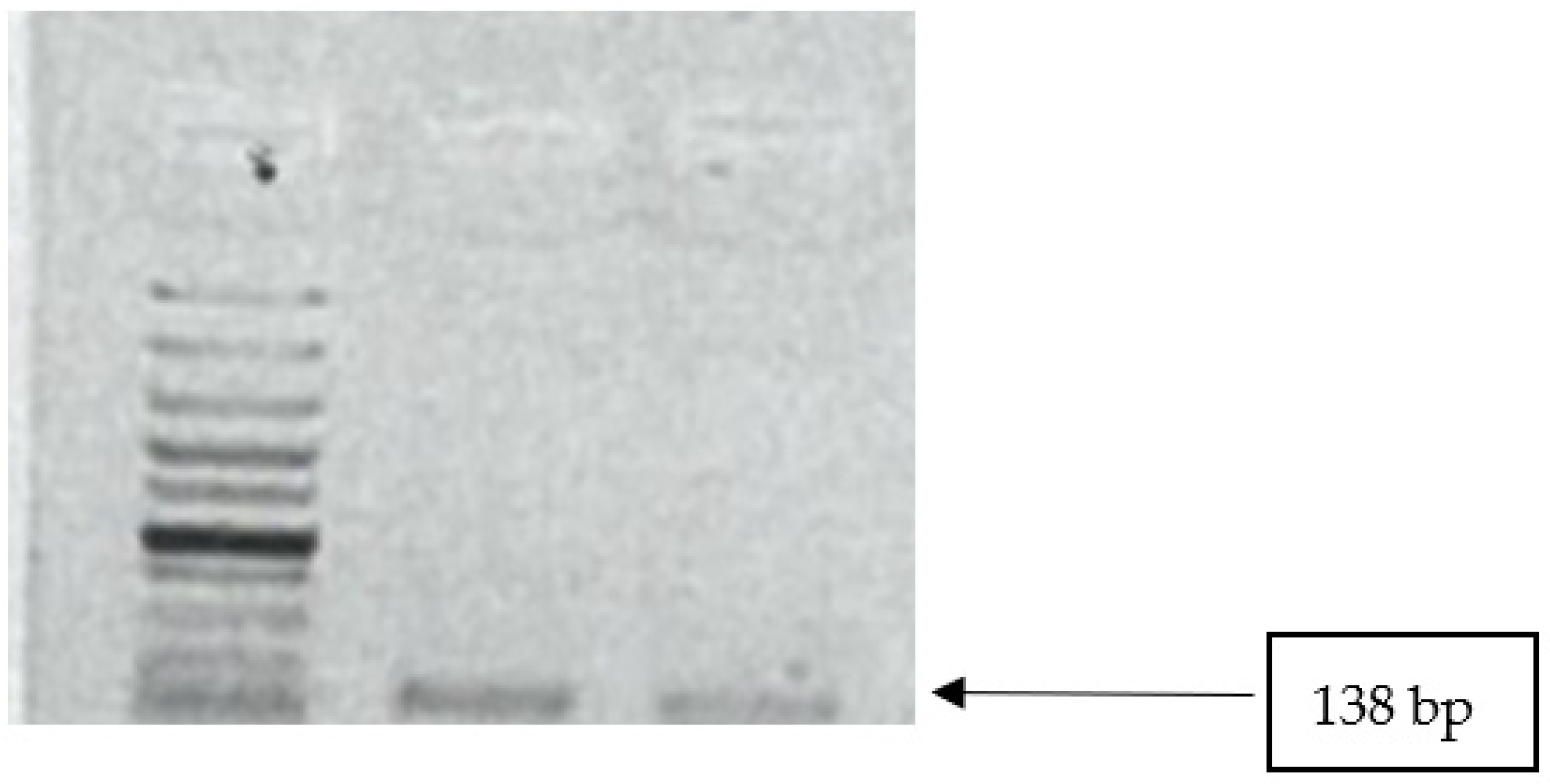 Microorganisms 10 01211 g003
