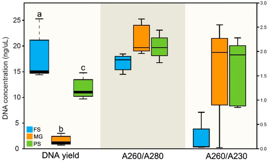 Microorganisms | Free Full-Text | The Effects of DNA Extraction 