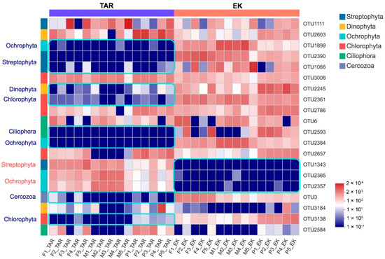 The Effects of DNA Extraction Kits and Primers on The Effects of DNA Extraction Kits and Primers on