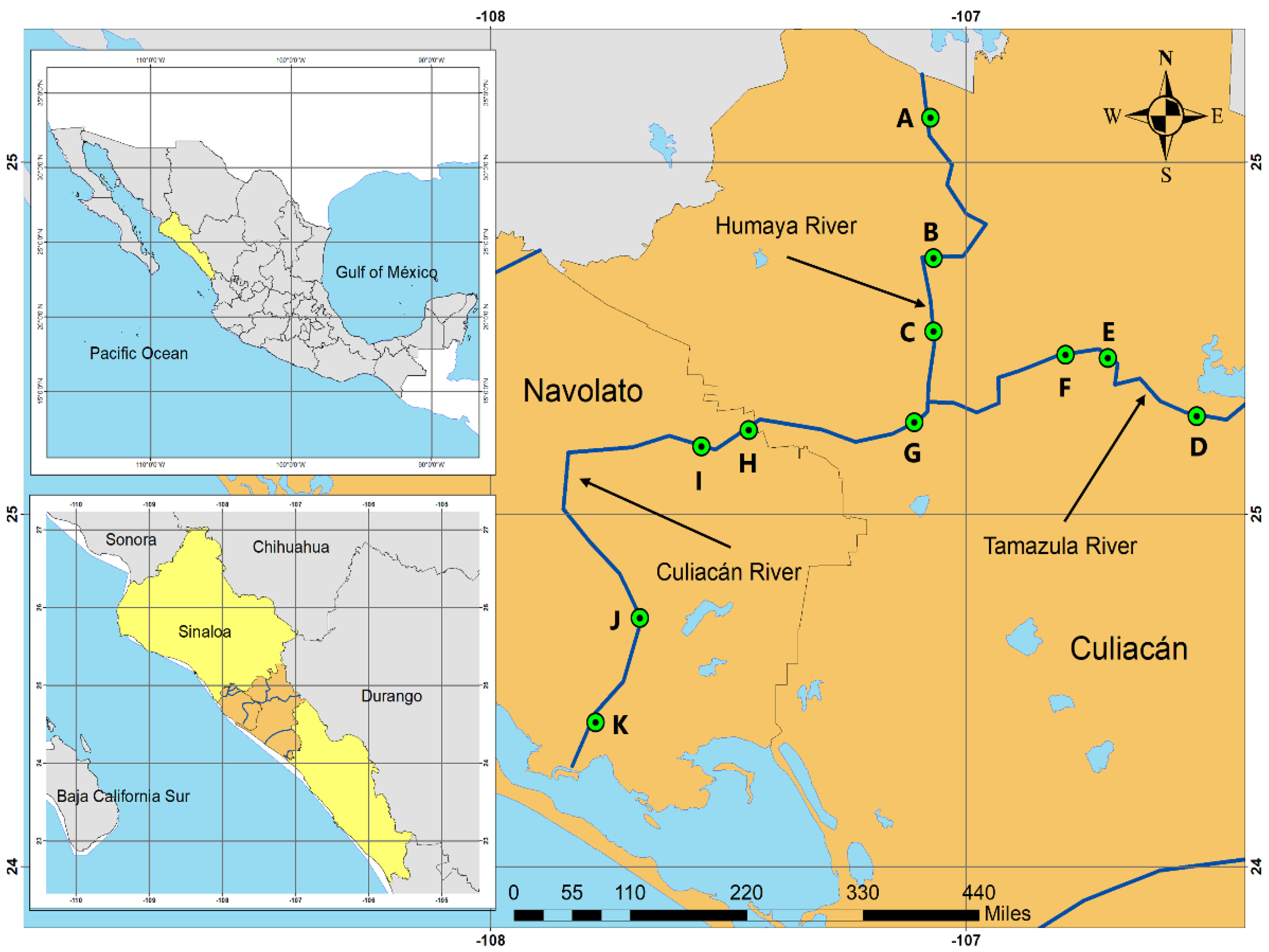 Microorganisms 10 01214 g001 Microorganisms 10 01214 g001