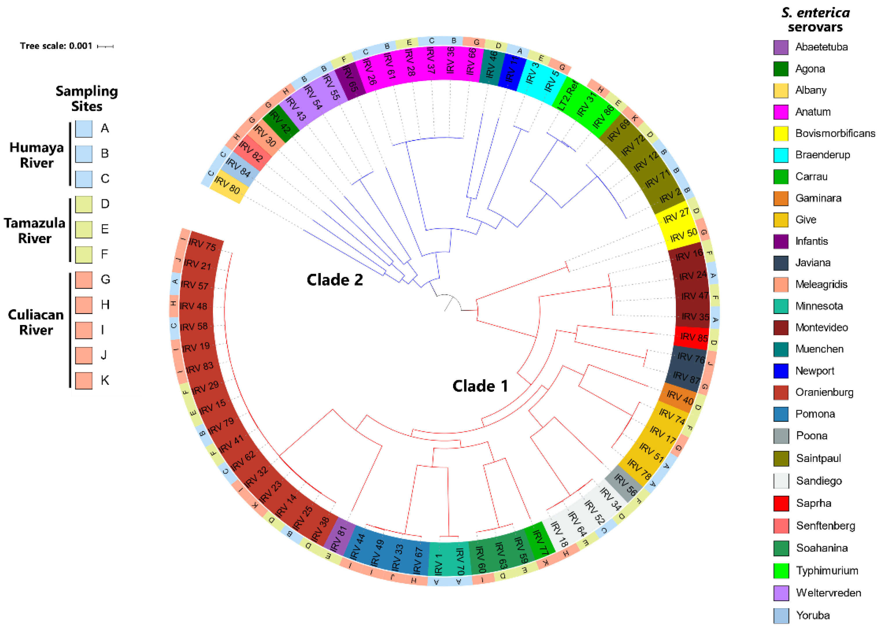 Microorganisms 10 01214 g003 Microorganisms 10 01214 g003