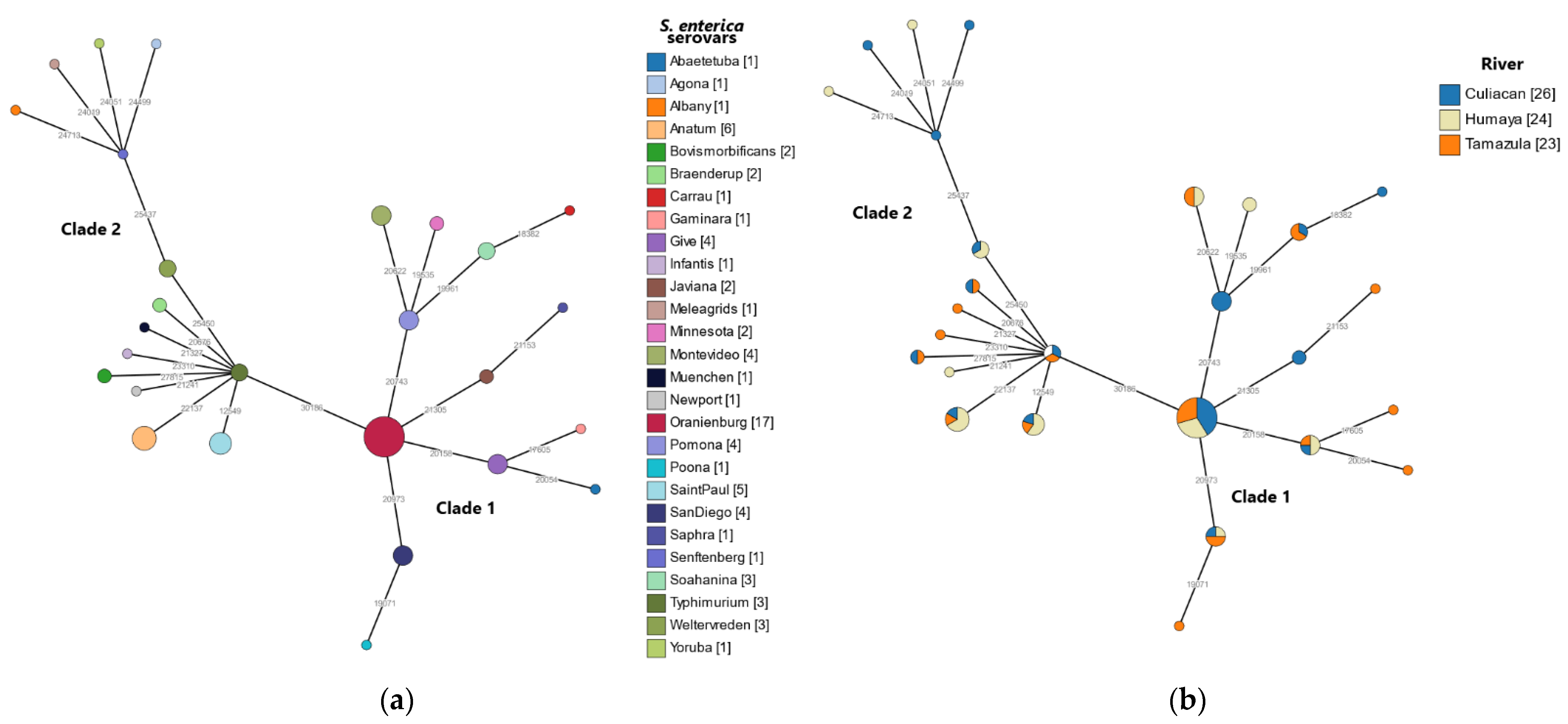 Microorganisms 10 01214 g004 Microorganisms 10 01214 g004