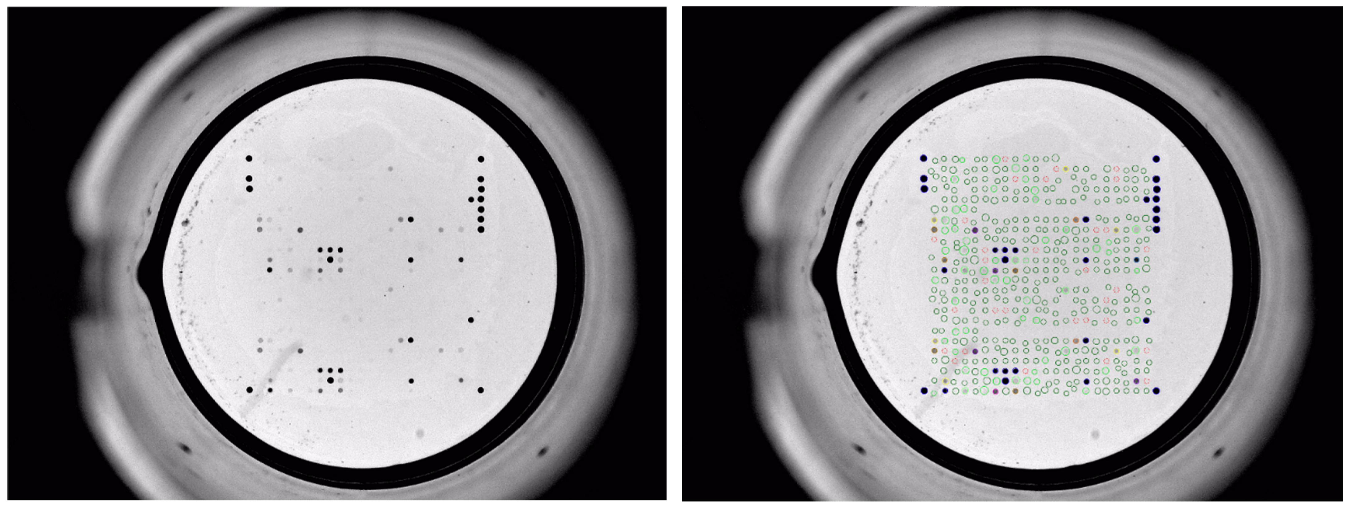 Microorganisms 10 01217 g001 Microorganisms 10 01217 g001