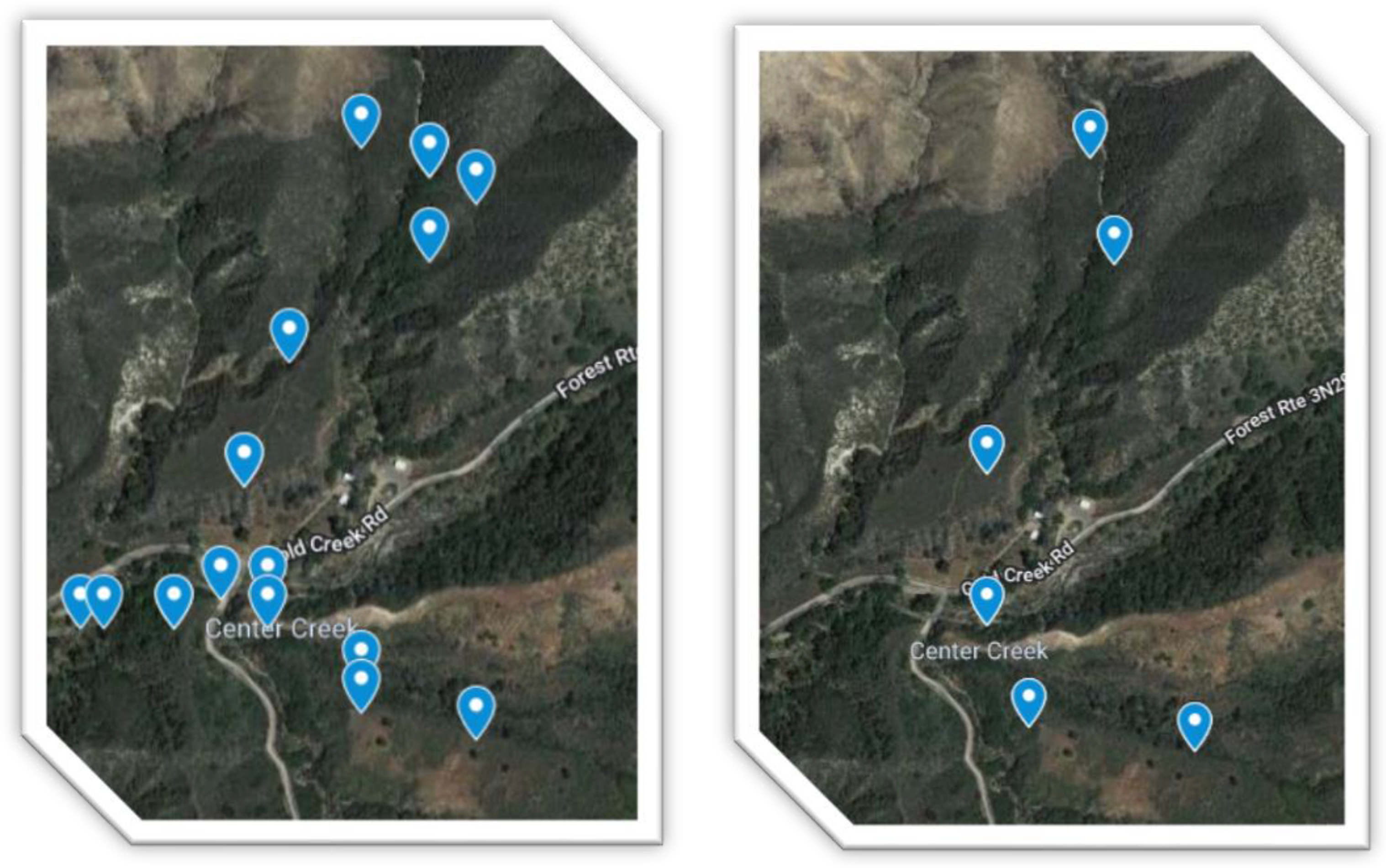 Microorganisms 10 01218 g001